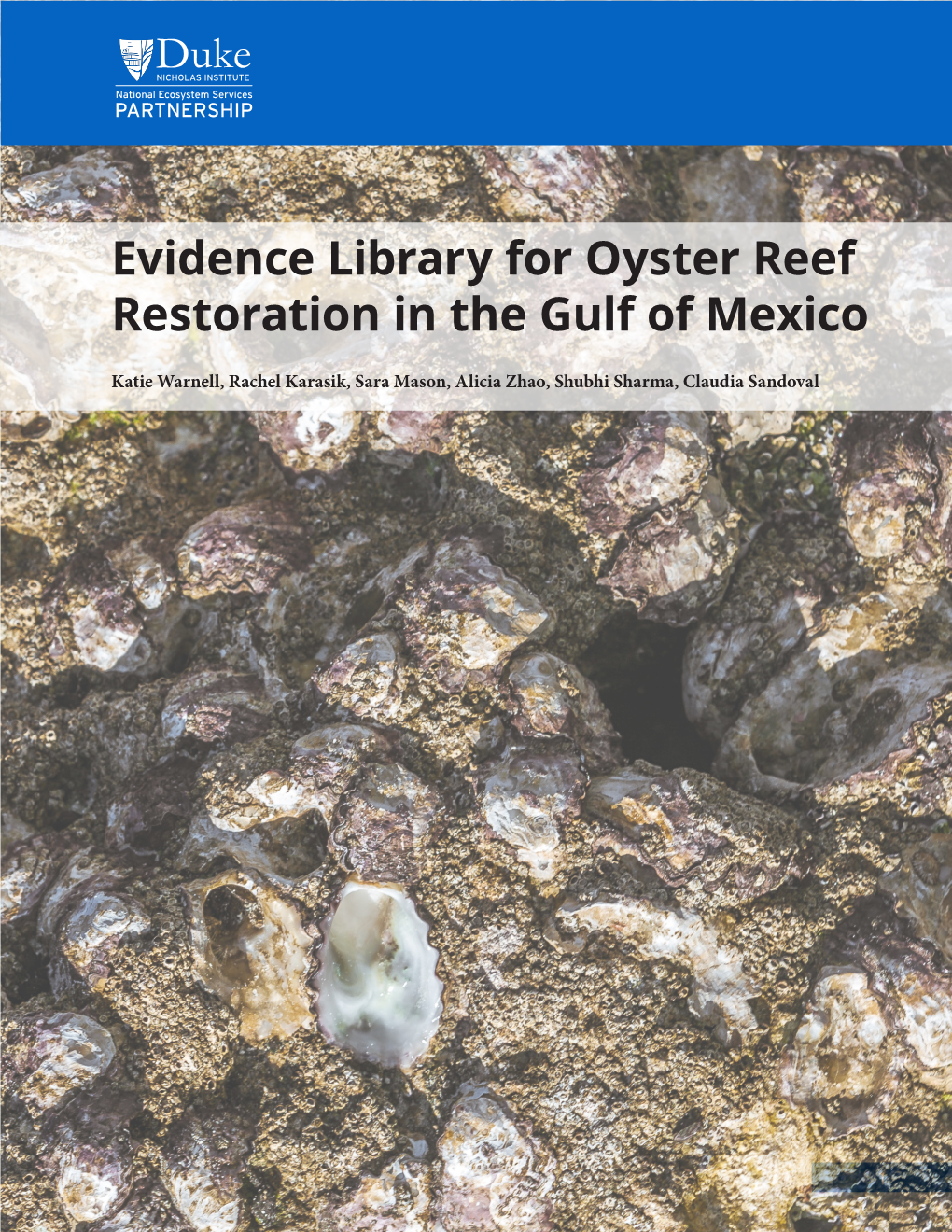 Evidence Library for Oyster Reef Restoration in the Gulf of Mexico