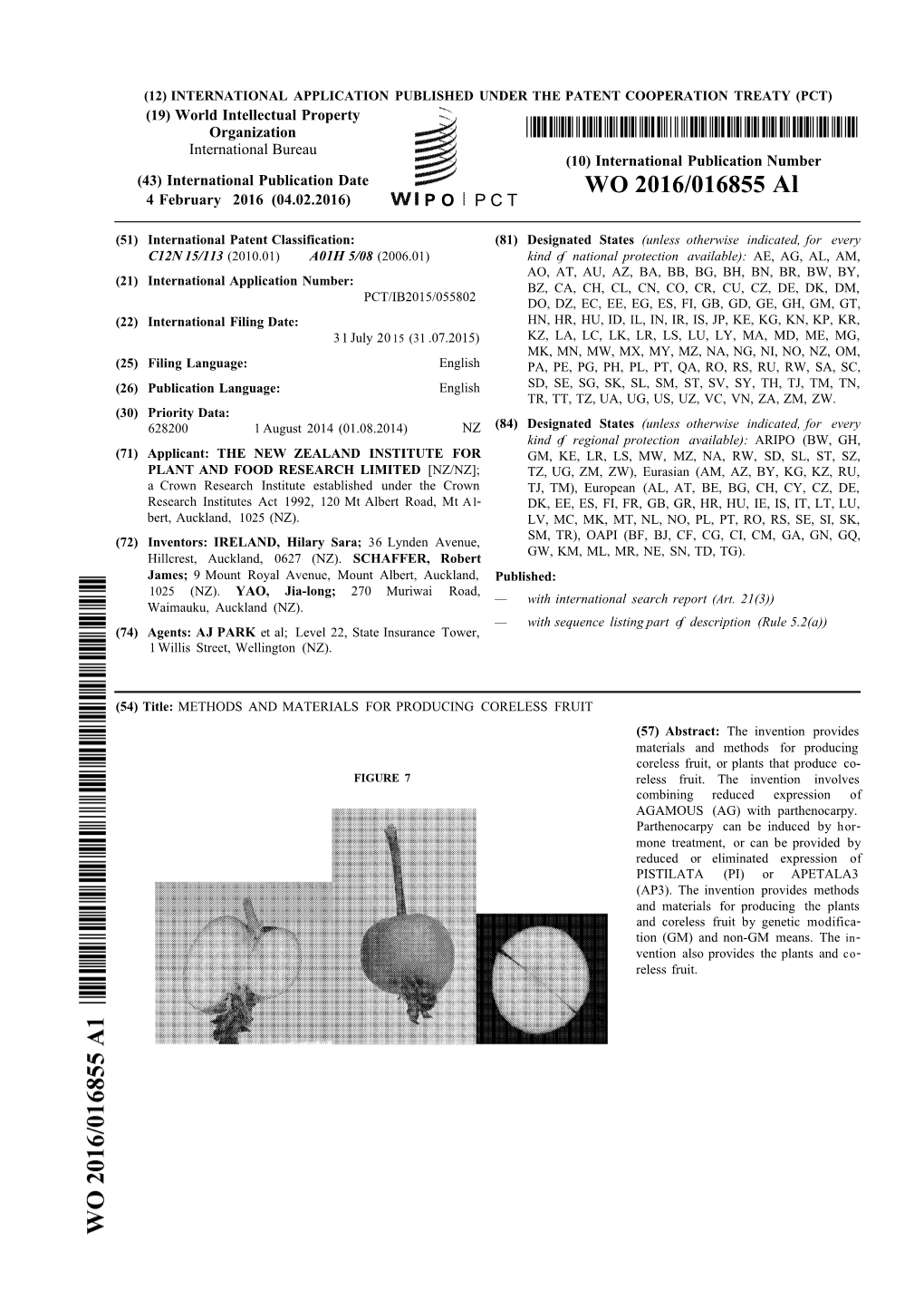 WO 2016/016855 Al 4 February 2016 (04.02.2016) P O P C T