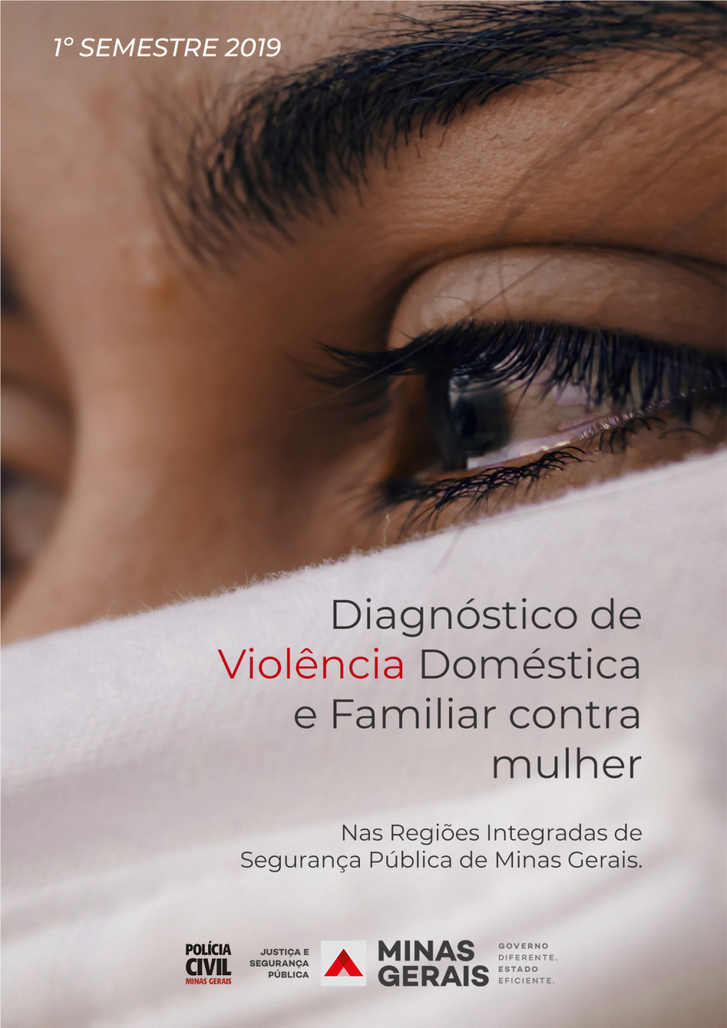 02 Diagnstico De Violncia Domstica E Familiar Contra a Mulher. V1 ALT