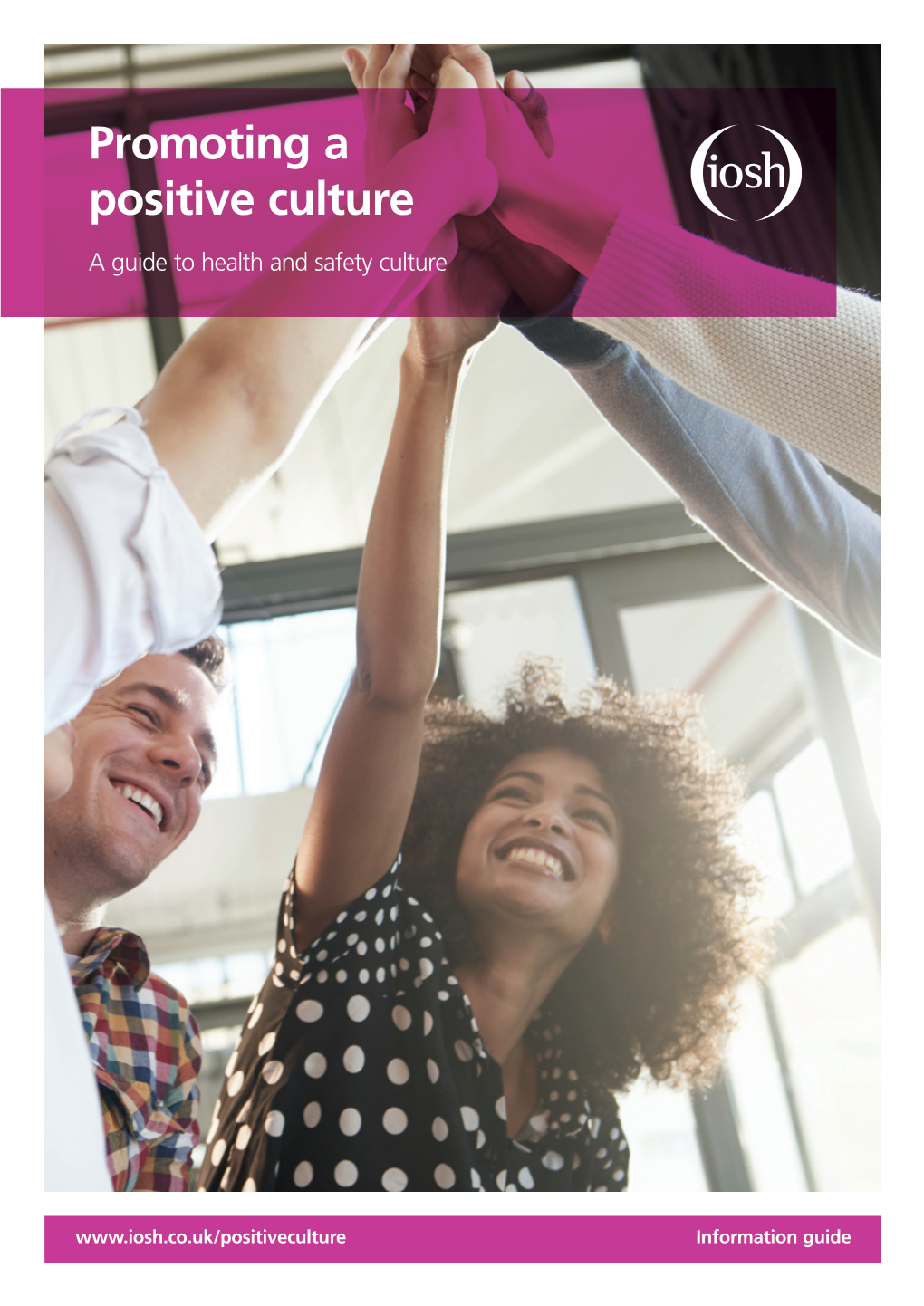 Promoting a Positive Culture – a Guide to Health and Safety Culture