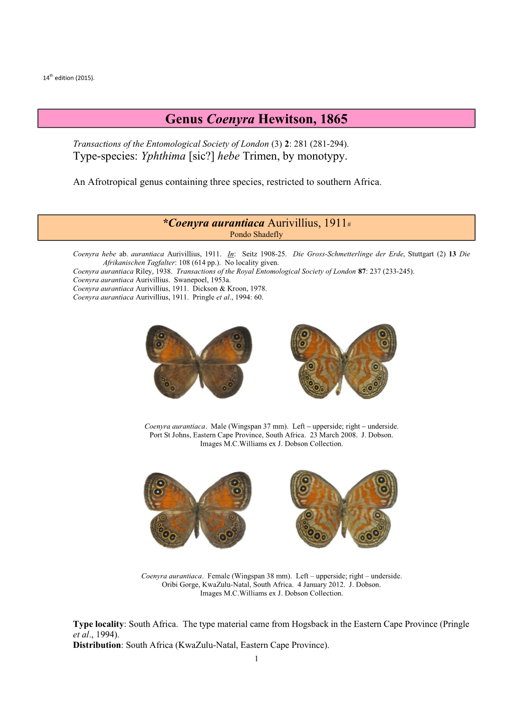 106 Genus Coenyra Hewitson