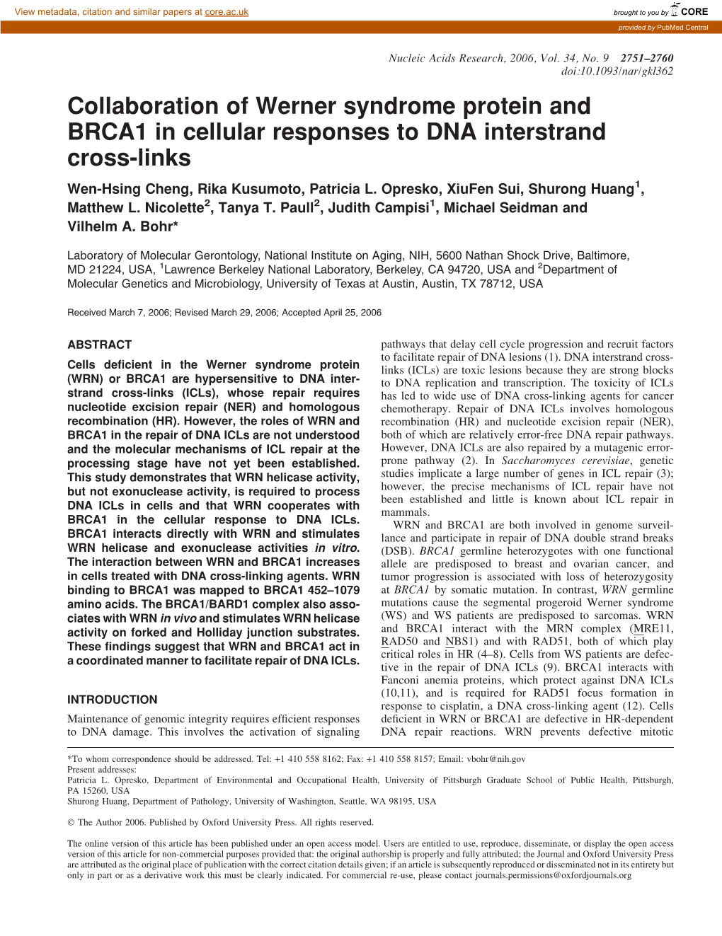 Collaboration of Werner Syndrome Protein and BRCA1 in Cellular Responses to DNA Interstrand Cross-Links Wen-Hsing Cheng, Rika Kusumoto, Patricia L
