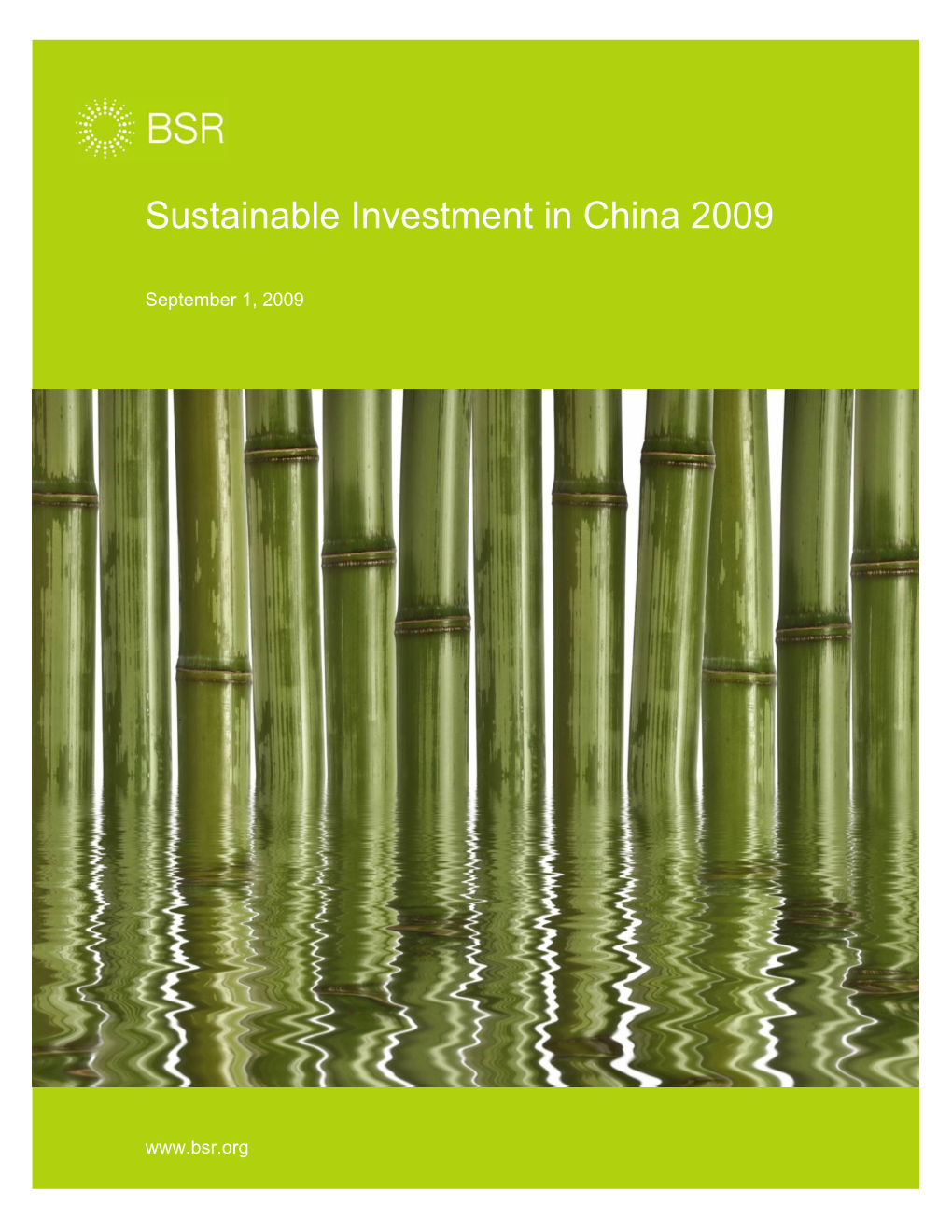 Sustainable Investment in China 2009