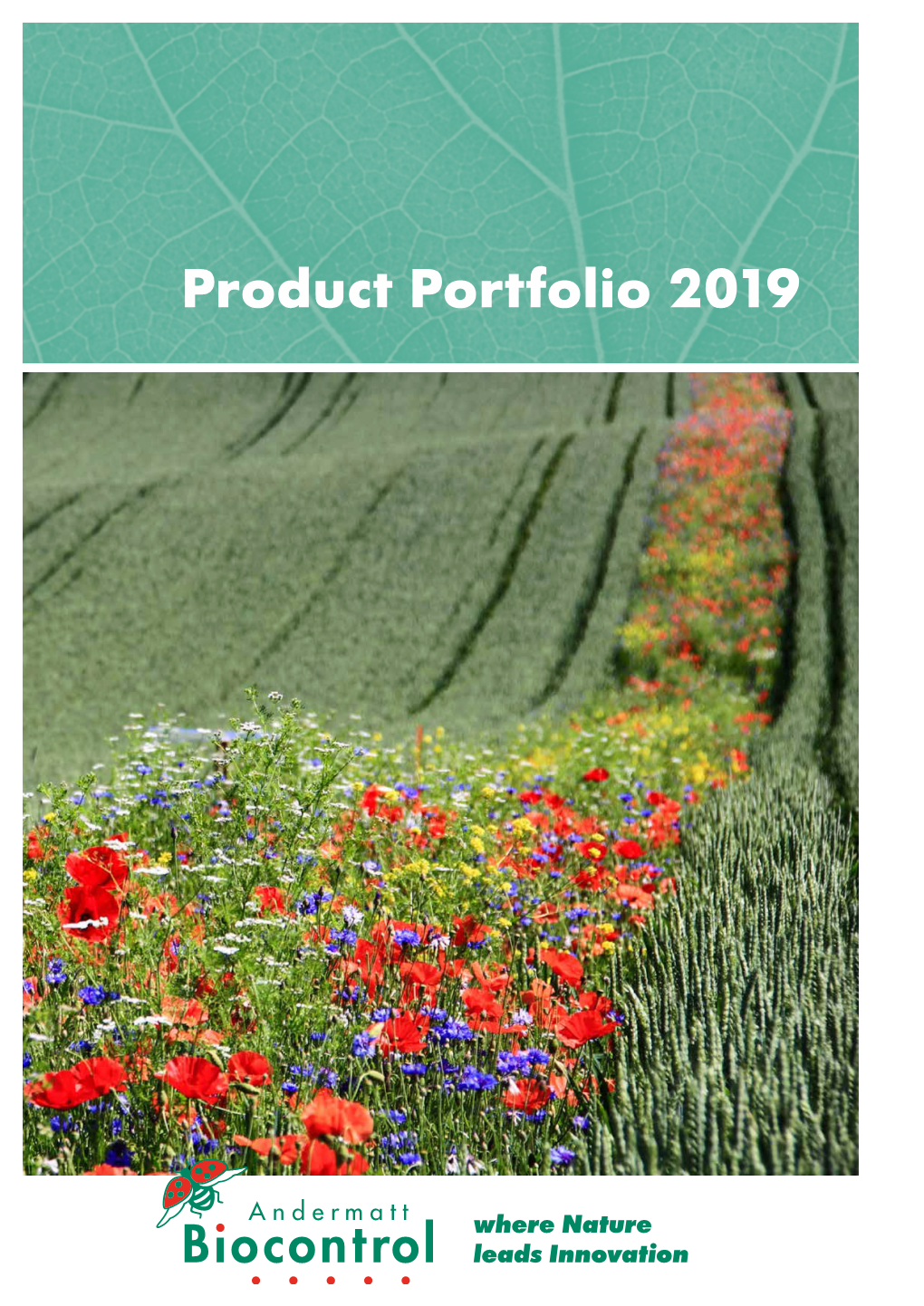 Product Portfolio 2019