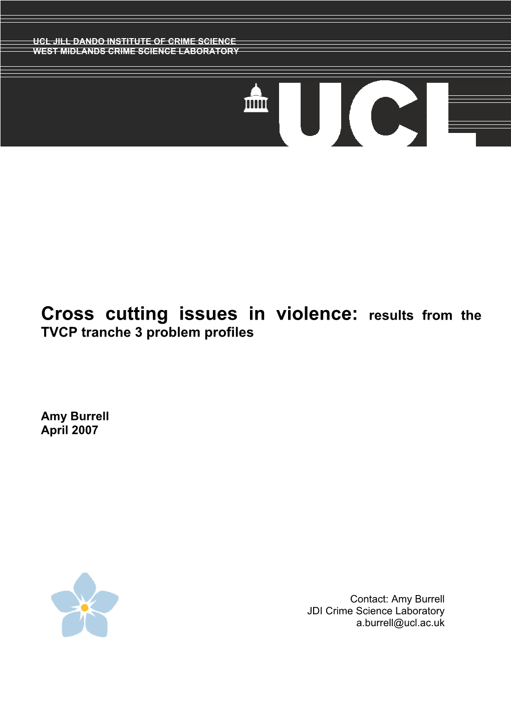 Cross Cutting Issues in Violence: Results from the TVCP Tranche 3 Problem Profiles