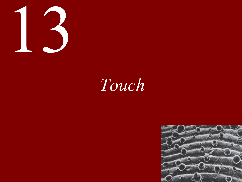 Lecture 13 -- Touch.Pdf