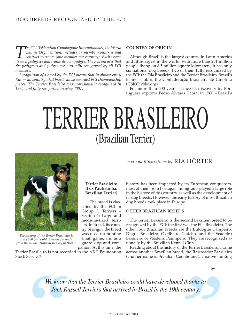 Terrier Brasileiro – Brazilian Terrier