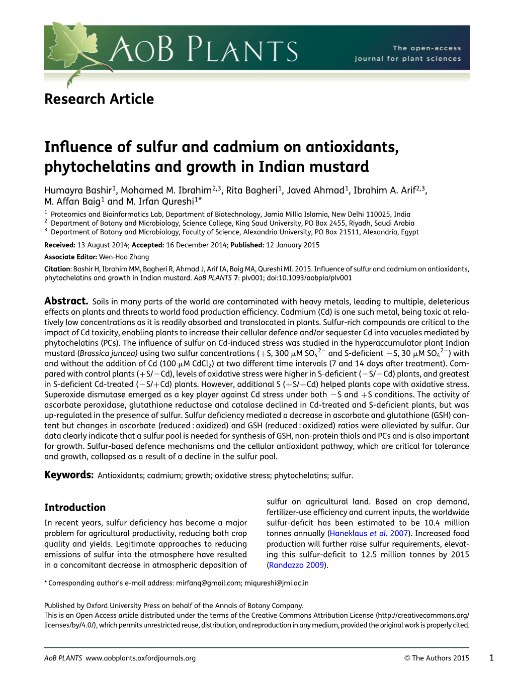 Influence of Sulfur and Cadmium on Antioxidants, Phytochelatins And