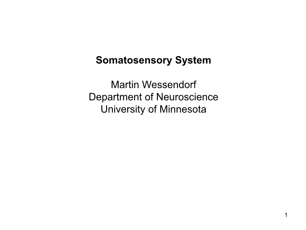 Somatosensory Projection to Cerebral Cortex