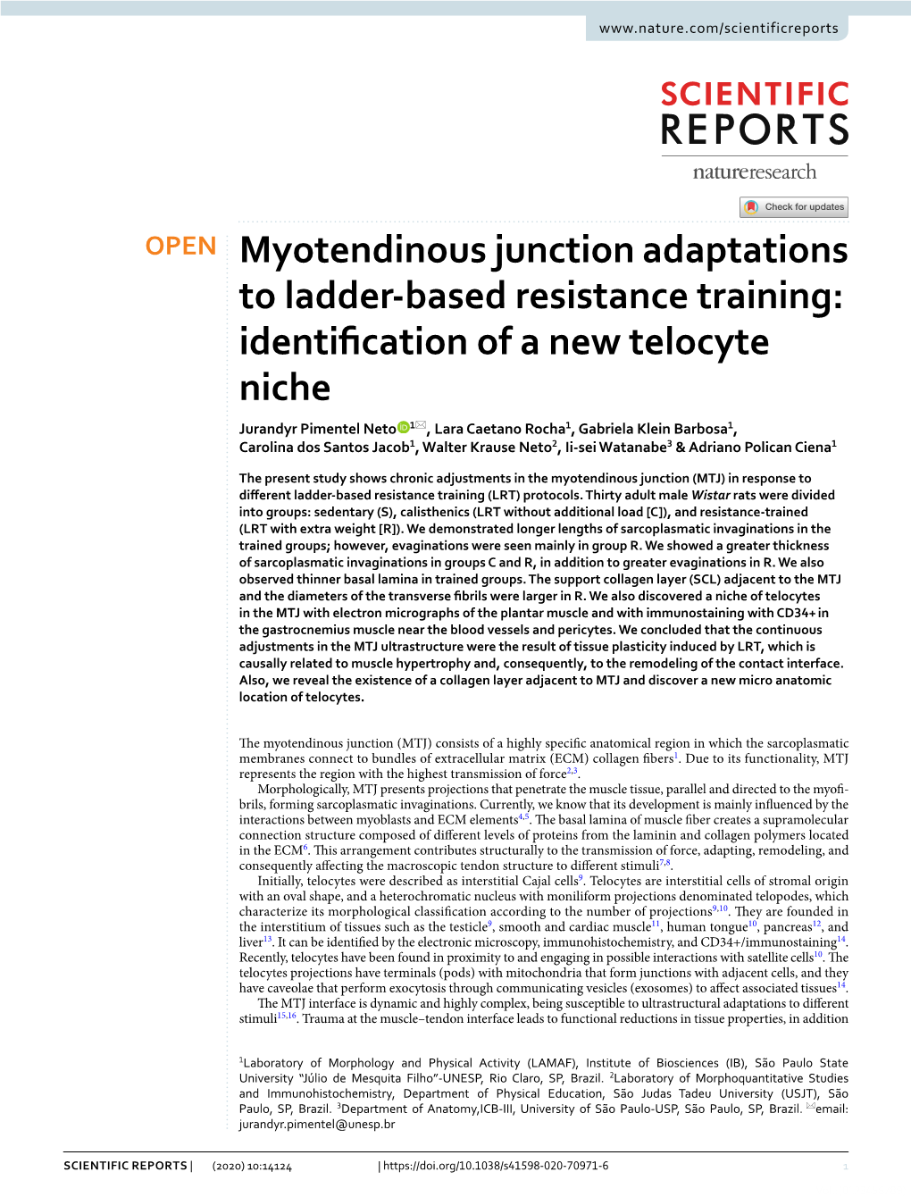 Myotendinous Junction Adaptations to Ladder-Based Resistance