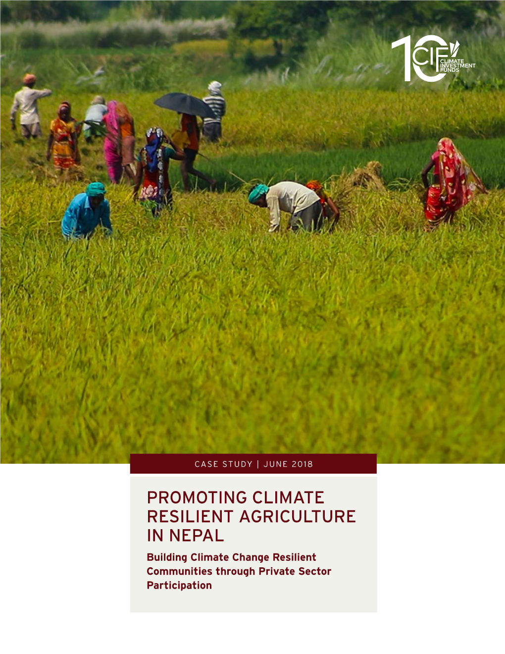 PROMOTING CLIMATE RESILIENT AGRICULTURE in NEPAL Building Climate Change Resilient Communities Through Private Sector Participation Table of Contents