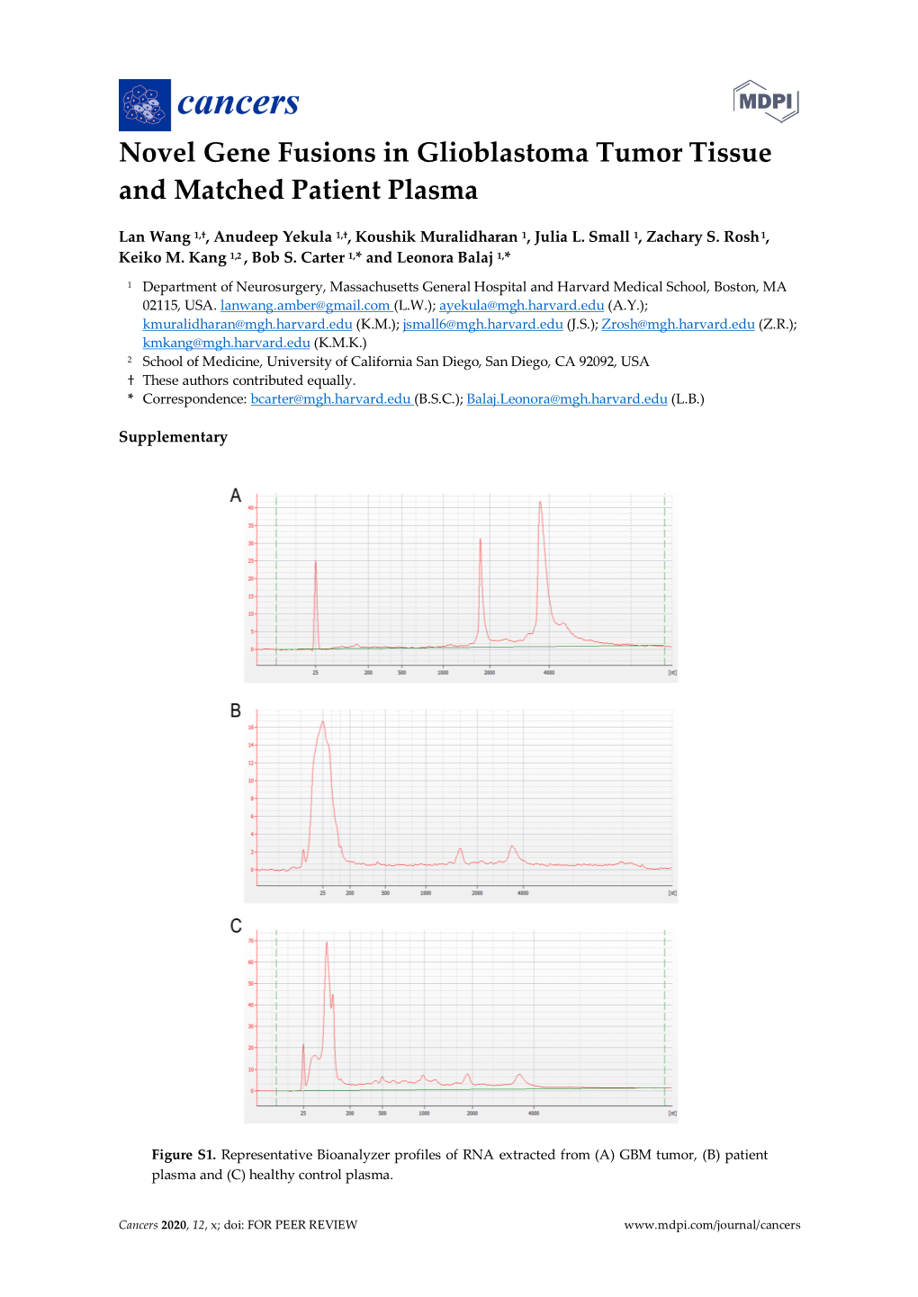 Novel Gene Fusions in Glioblastoma Tumor Tissue and Matched Patient Plasma