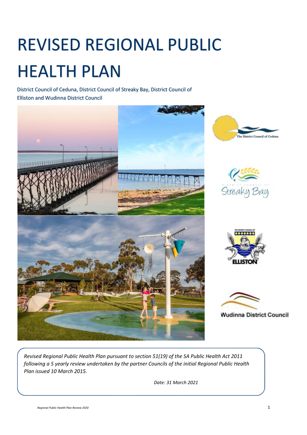 Revised Regional Public Health Plan