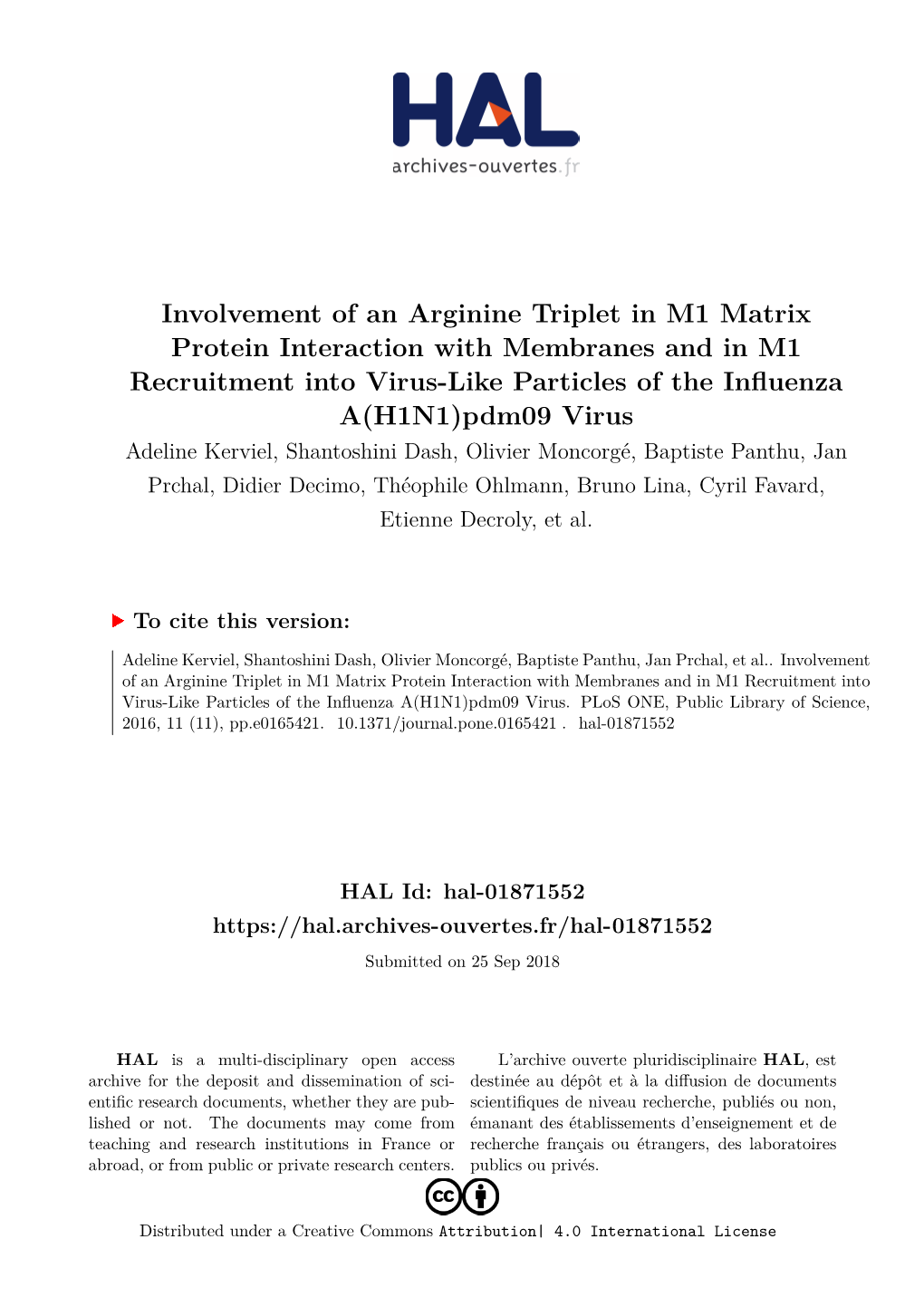 Involvement of an Arginine Triplet in M1 Matrix Protein Interaction With