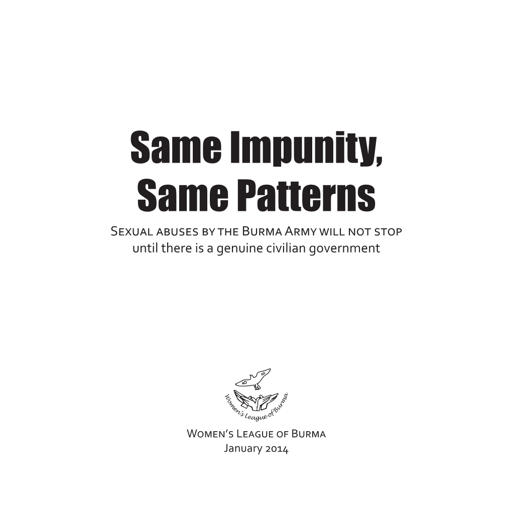 Download the Report “Same Impunity, Same Patterns”