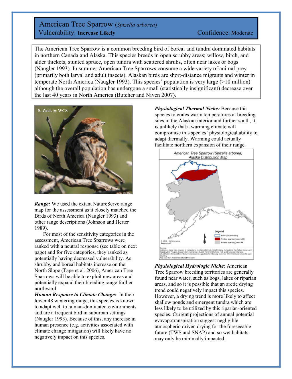 American Tree Sparrow (Spizella Arborea) Vulnerability: Increase Likely Confidence: Moderate