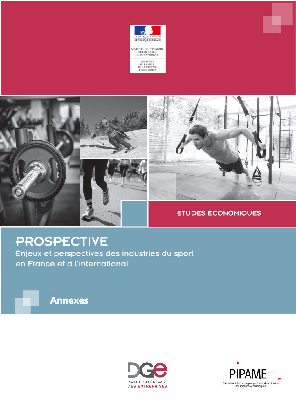 PROSPECTIVE Enjeux Et Perspectives Des Industries Du Sport En France Et À L’International