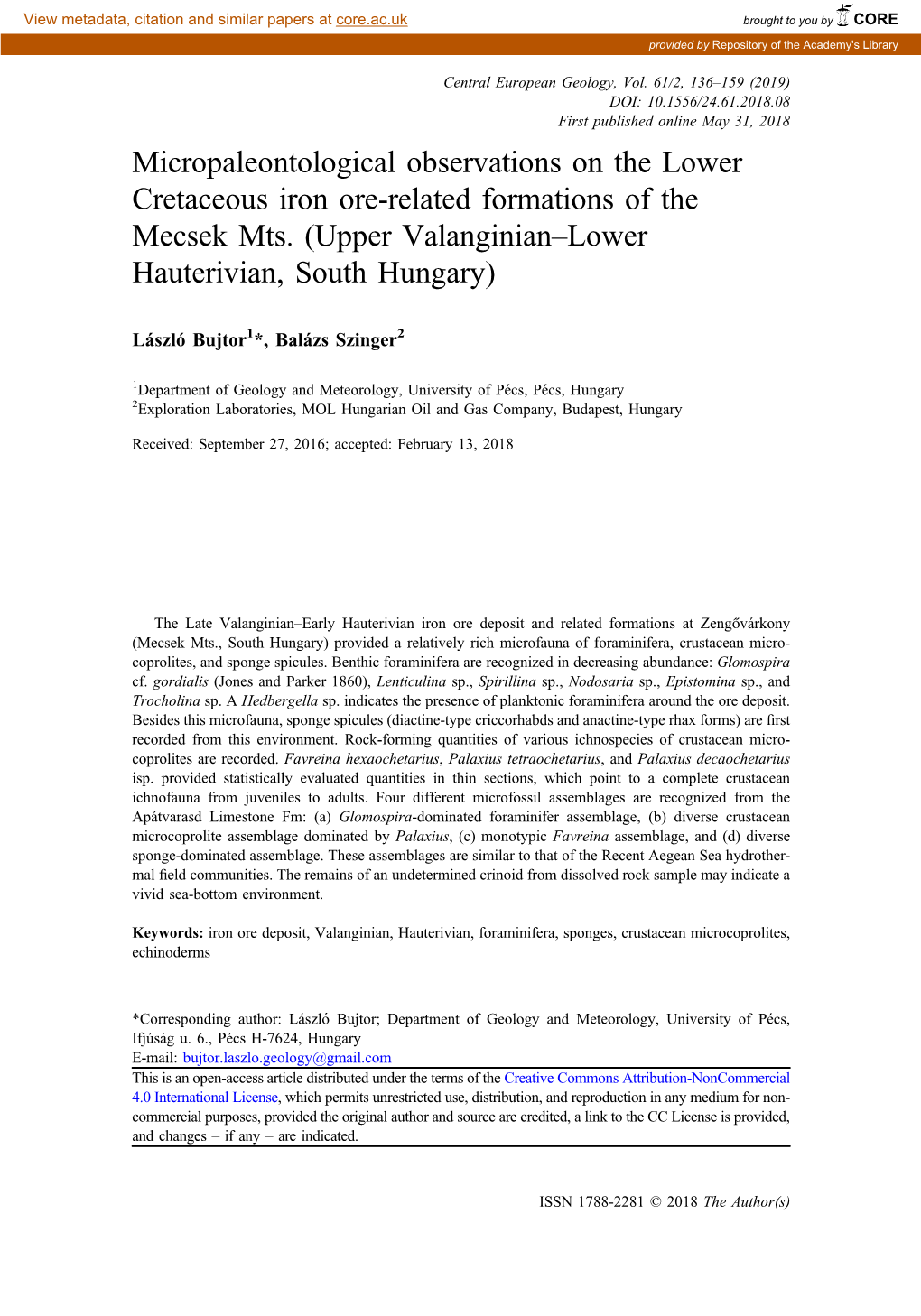 Micropaleontological Observations on the Lower Cretaceous Iron Ore-Related Formations of the Mecsek Mts