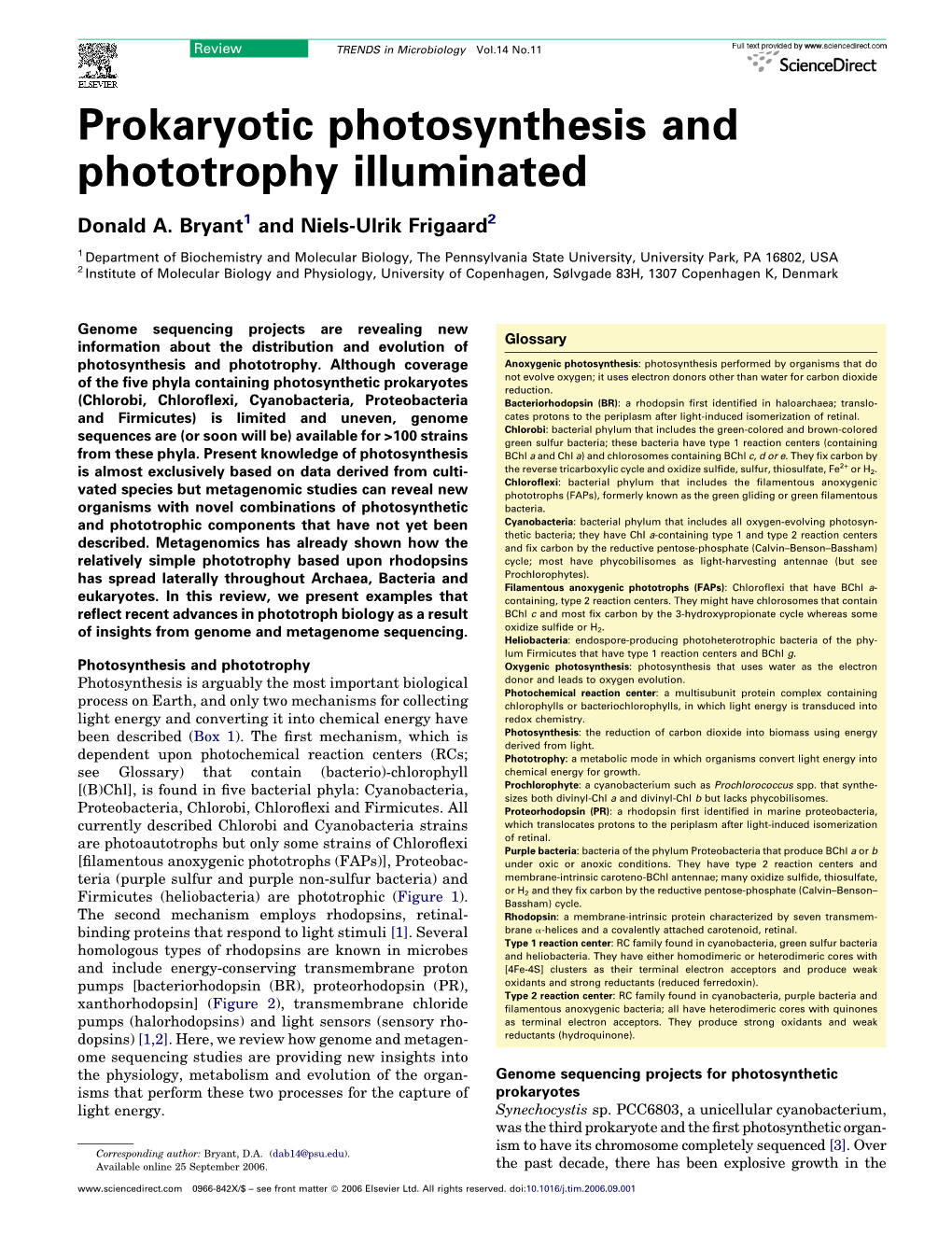 Prokaryotic Photosynthesis and Phototrophy Illuminated