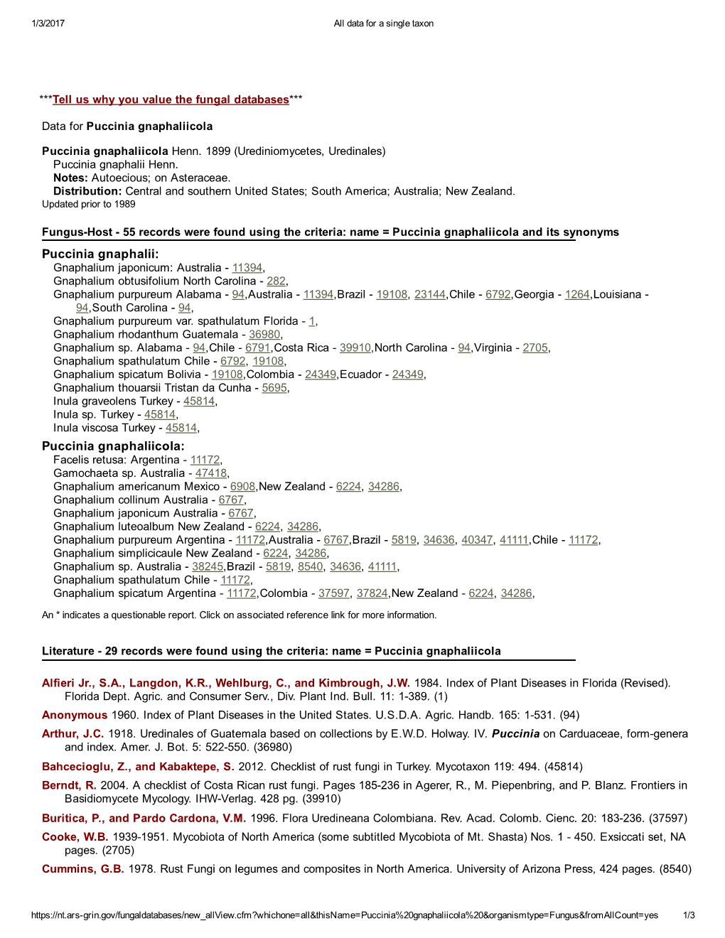 Puccinia Gnaphalii: Puccinia Gnaphaliicola