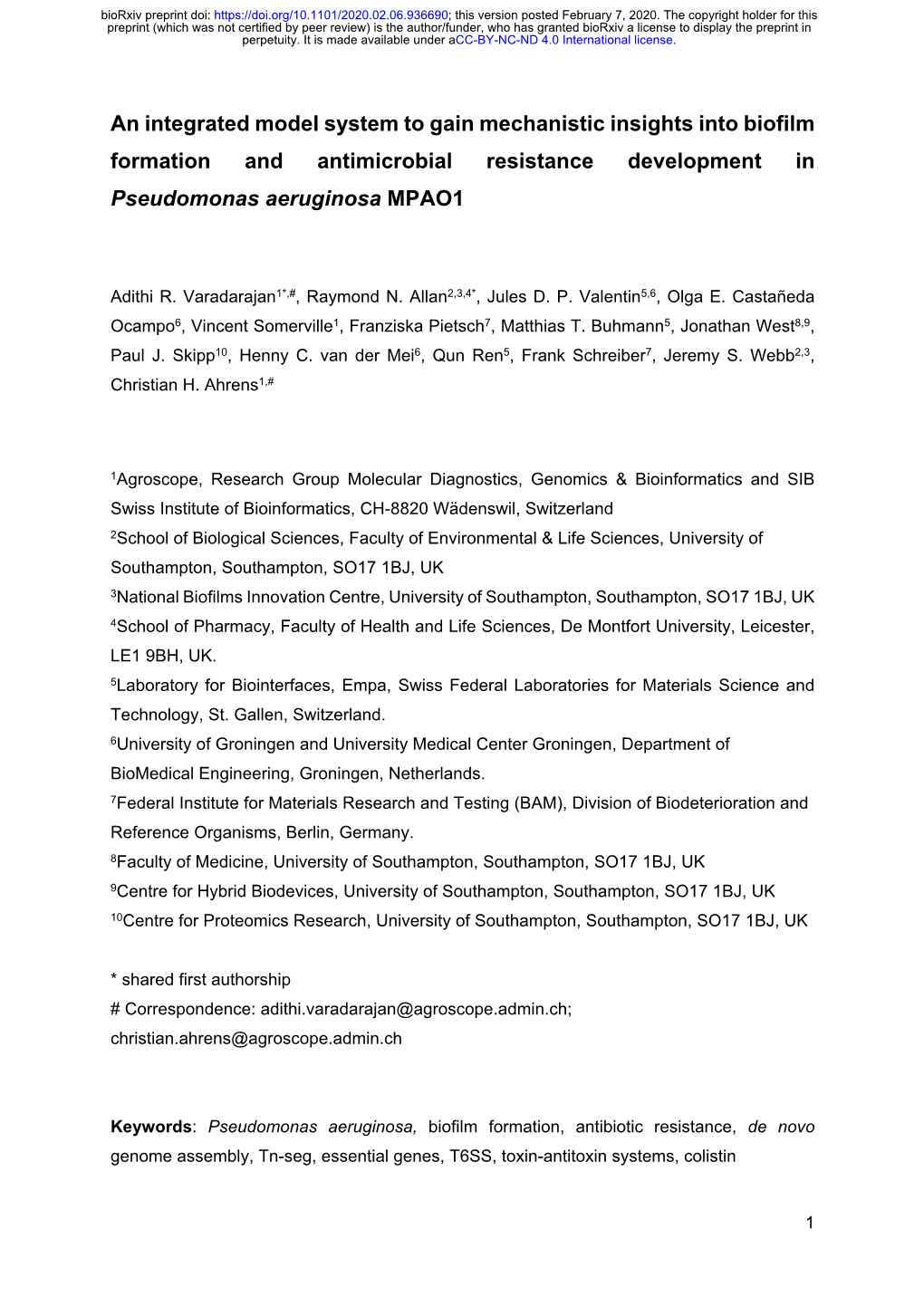 An Integrated Model System to Gain Mechanistic Insights Into Biofilm Formation and Antimicrobial Resistance Development in Pseudomonas Aeruginosa MPAO1