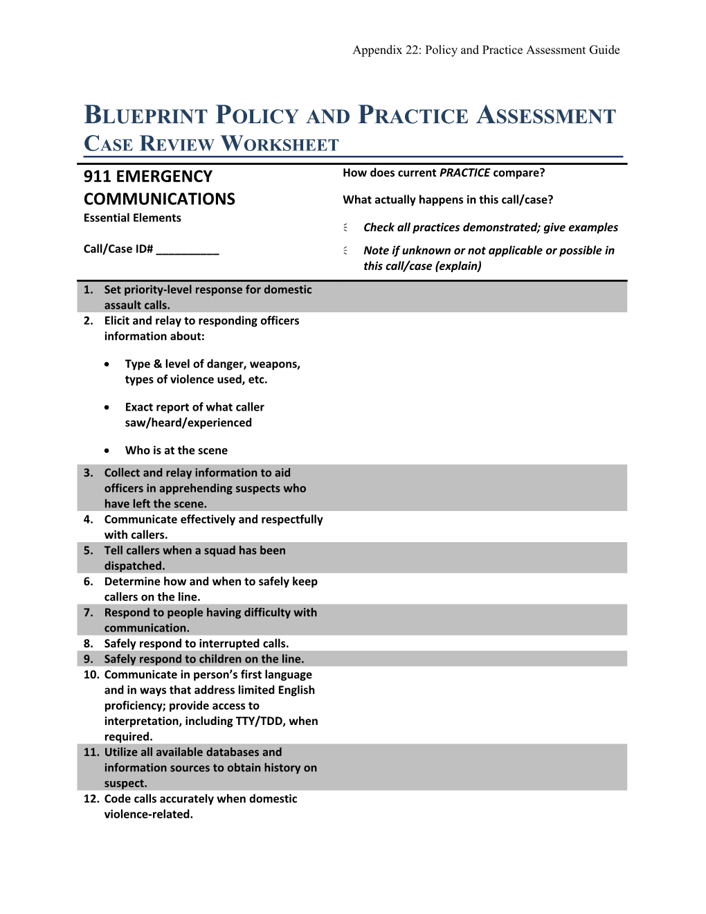 Blueprint Policy and Practice Assessment Case Review Worksheet