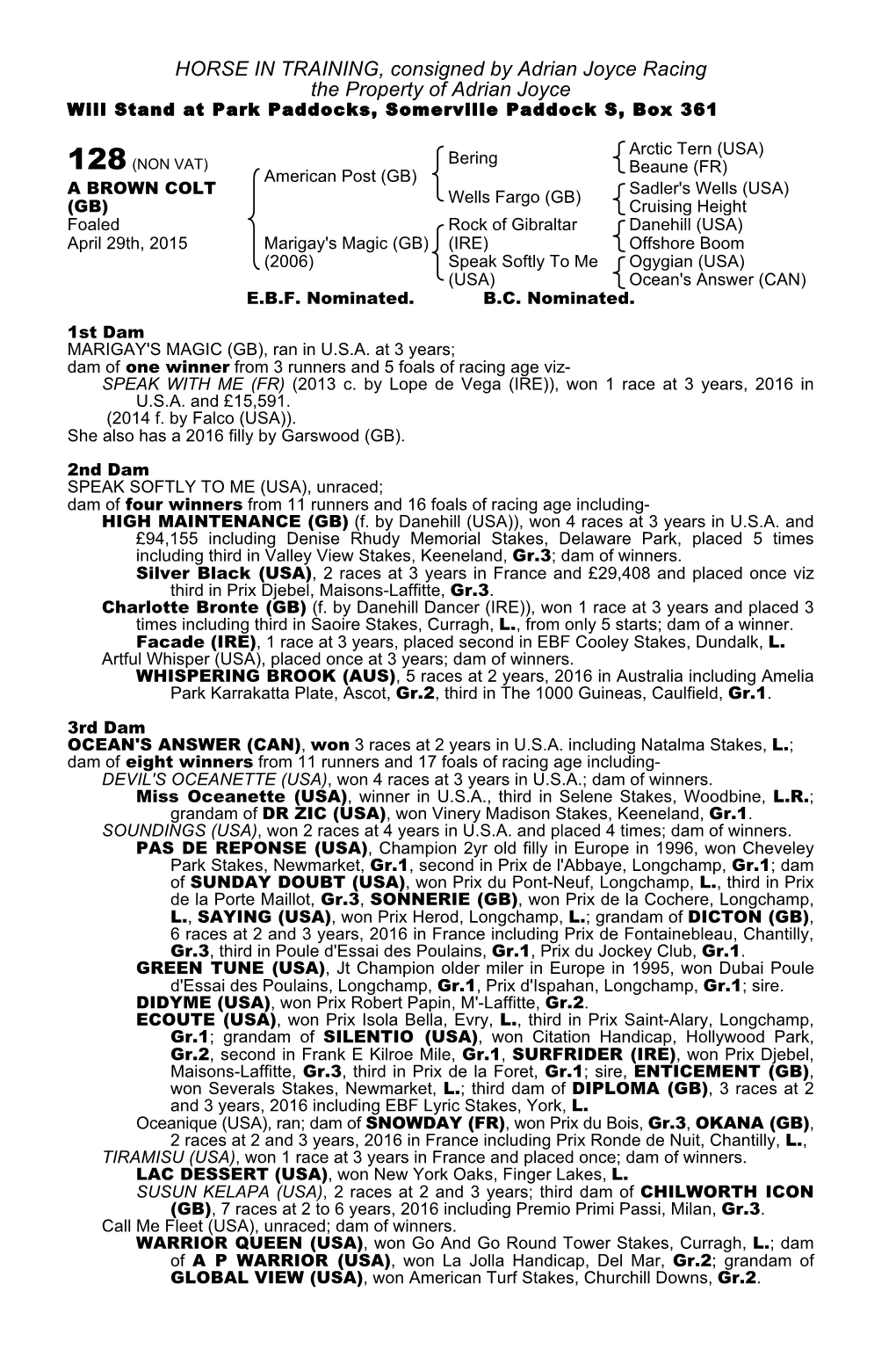 HORSE in TRAINING, Consigned by Adrian Joyce Racing the Property of Adrian Joyce Will Stand at Park Paddocks, Somerville Paddock S, Box 361