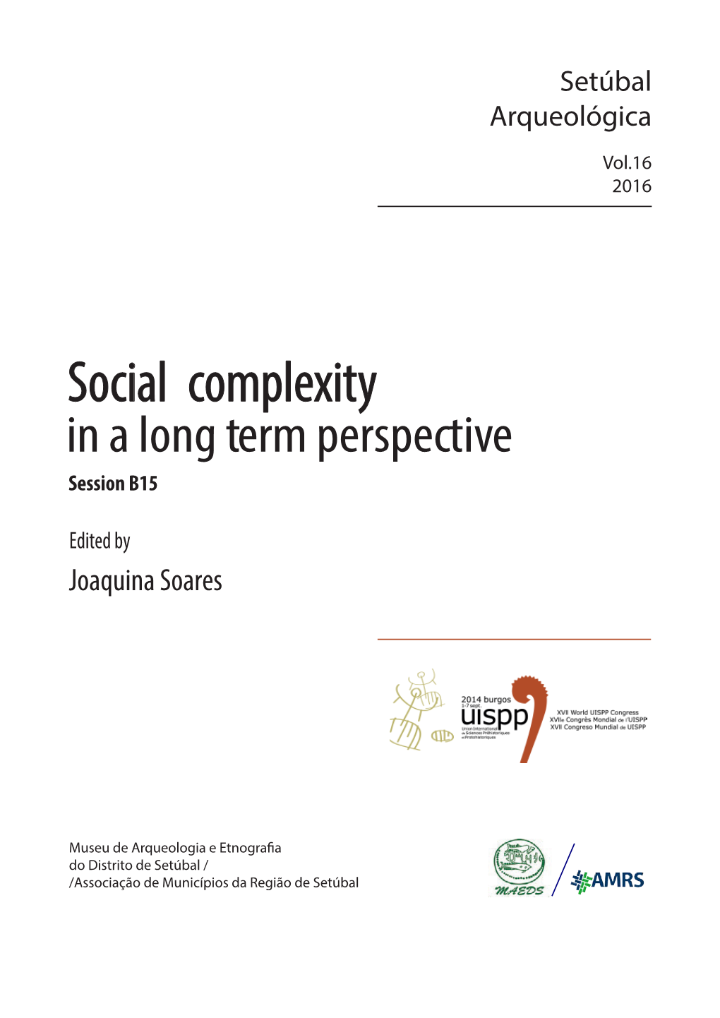 Social Complexity in a Long Term Perspective Session B15