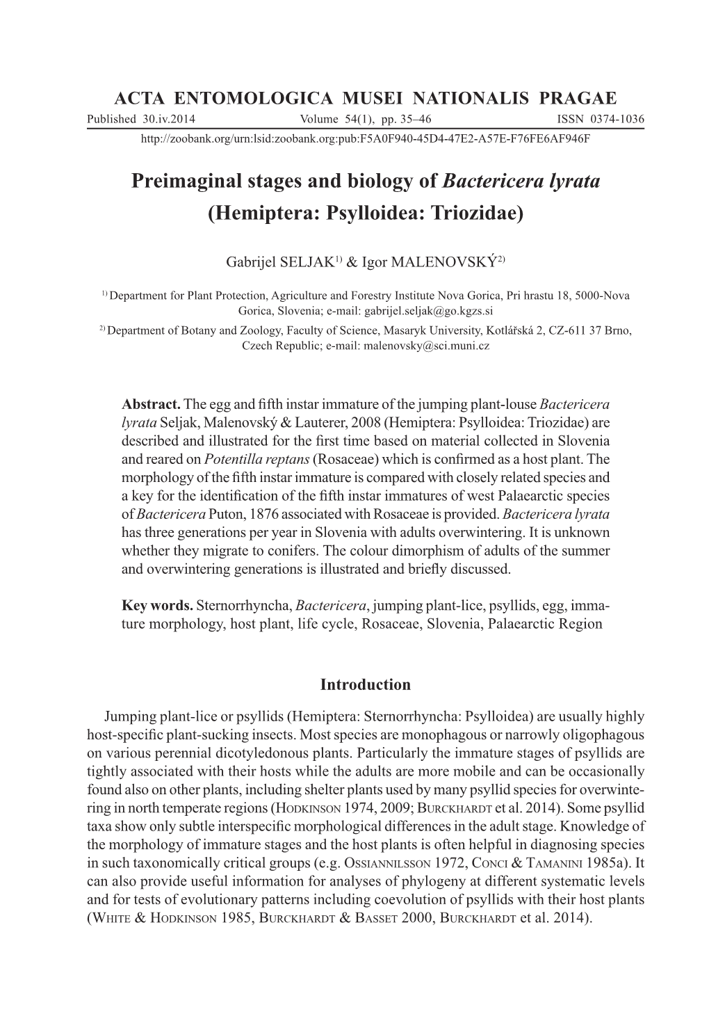 Preimaginal Stages and Biology of Bactericera Lyrata (Hemiptera: Psylloidea: Triozidae)