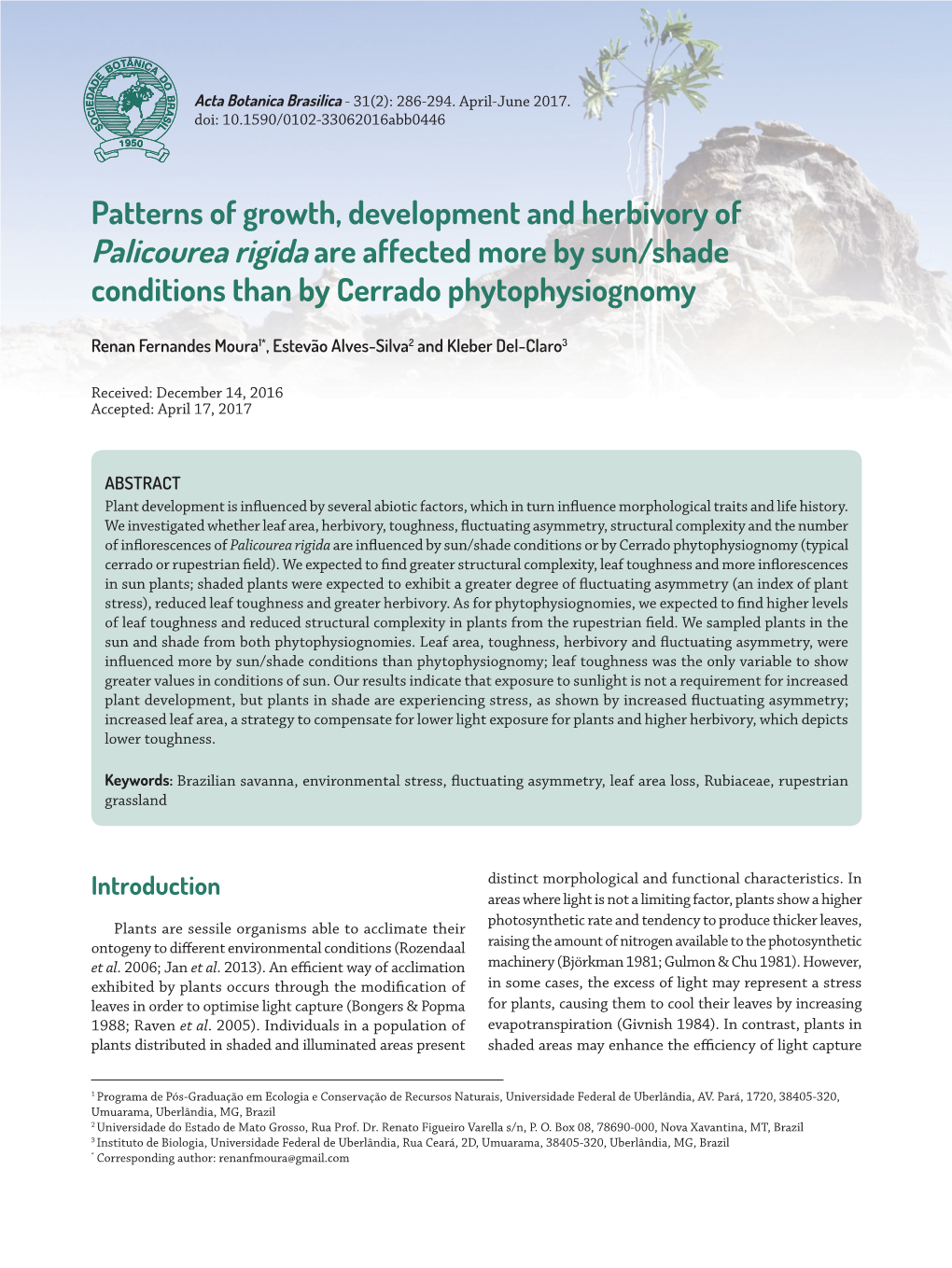 Patterns of Growth, Development and Herbivory of Palicourea Rigida Are Affected More by Sun/Shade Conditions Than by Cerrado Phytophysiognomy