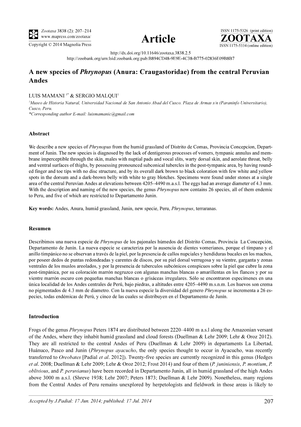 A New Species of Phrynopus (Anura: Craugastoridae) from the Central Peruvian Andes