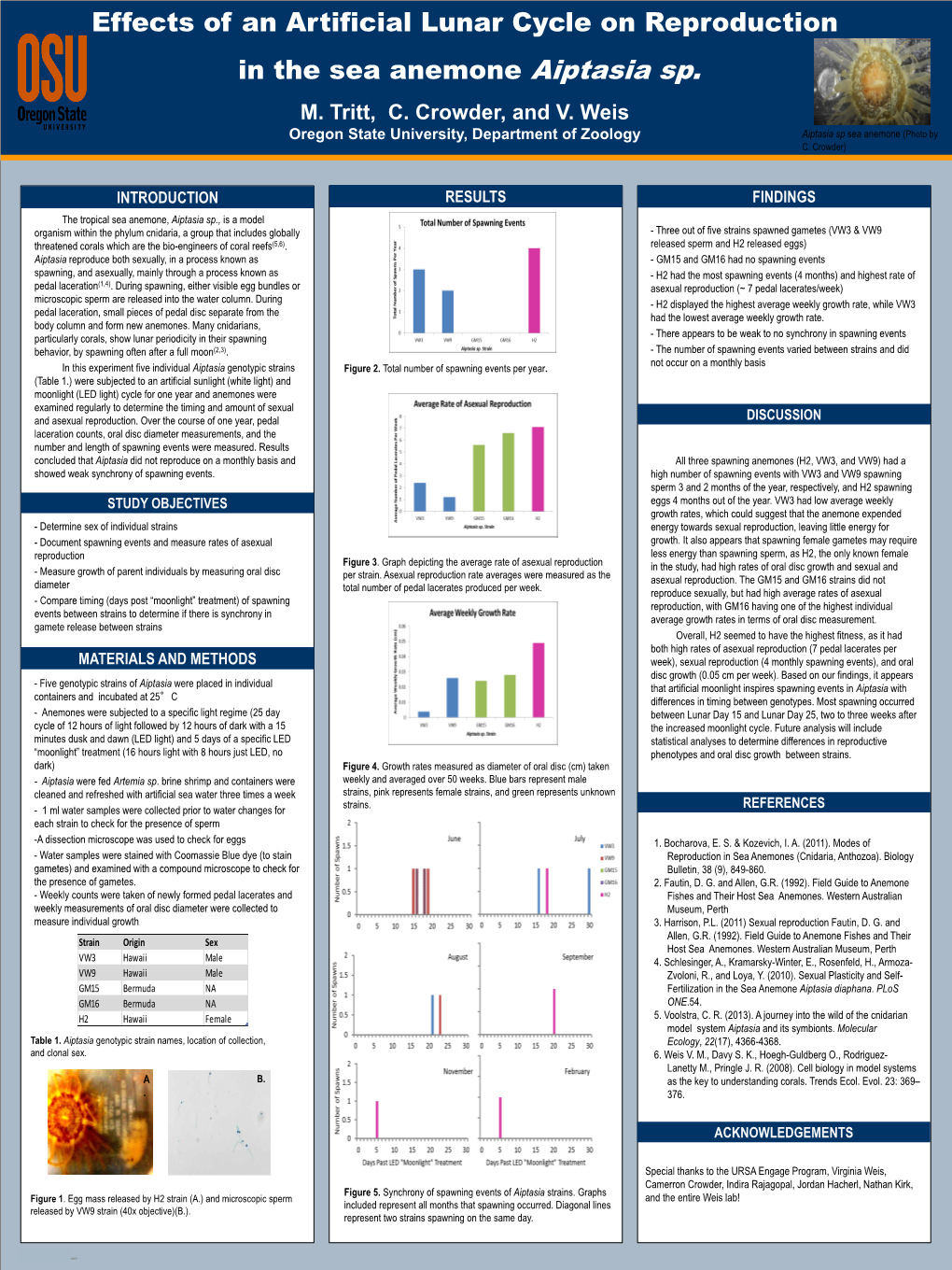 Effects of an Artificial Lunar Cycle on Reproduction in the Sea Anemone Aiptasia Sp