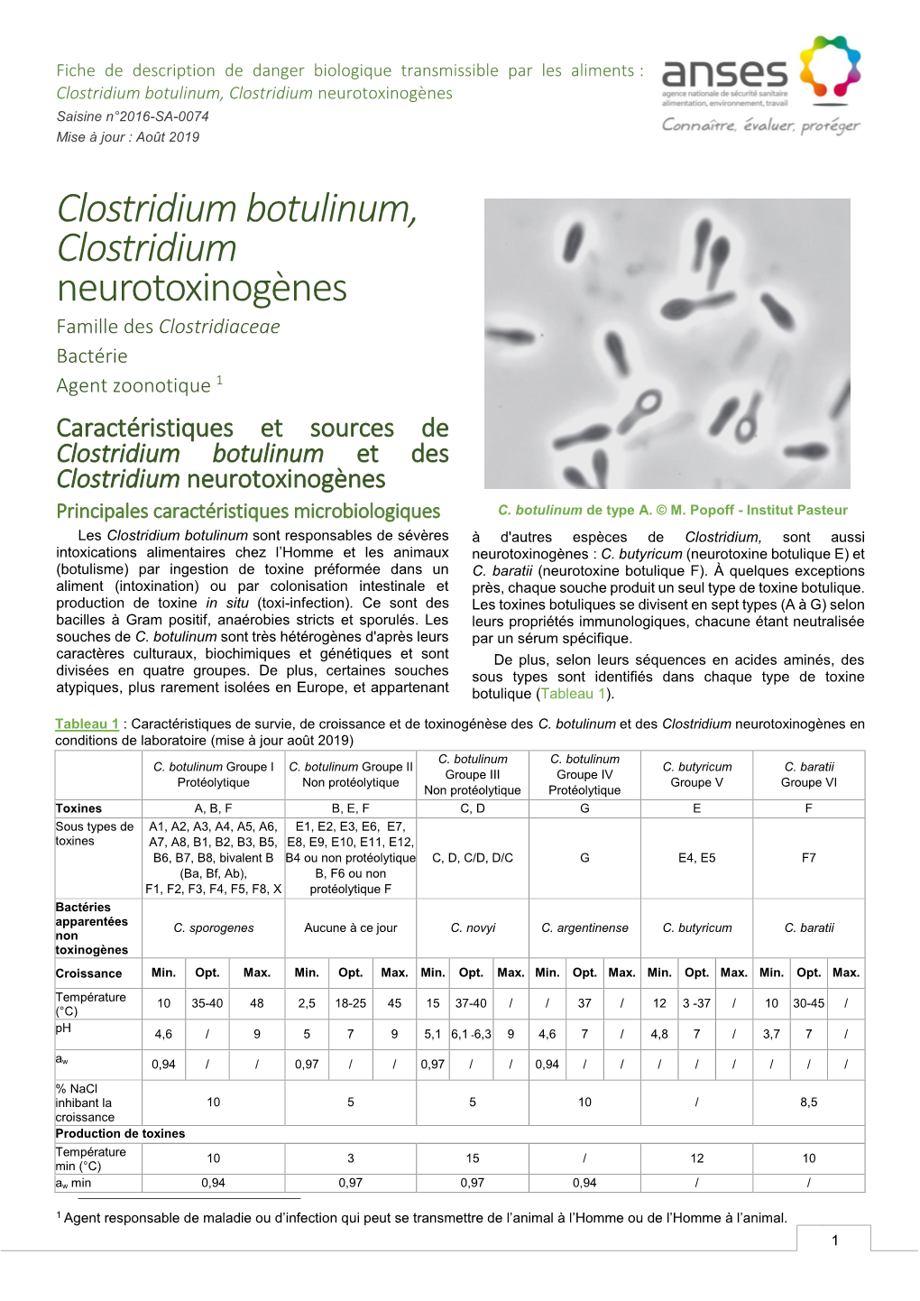 Clostridium Botulinum, Clostridium Neurotoxinogènes Saisine N°2016-SA-0074 Mise À Jour : Août 2019