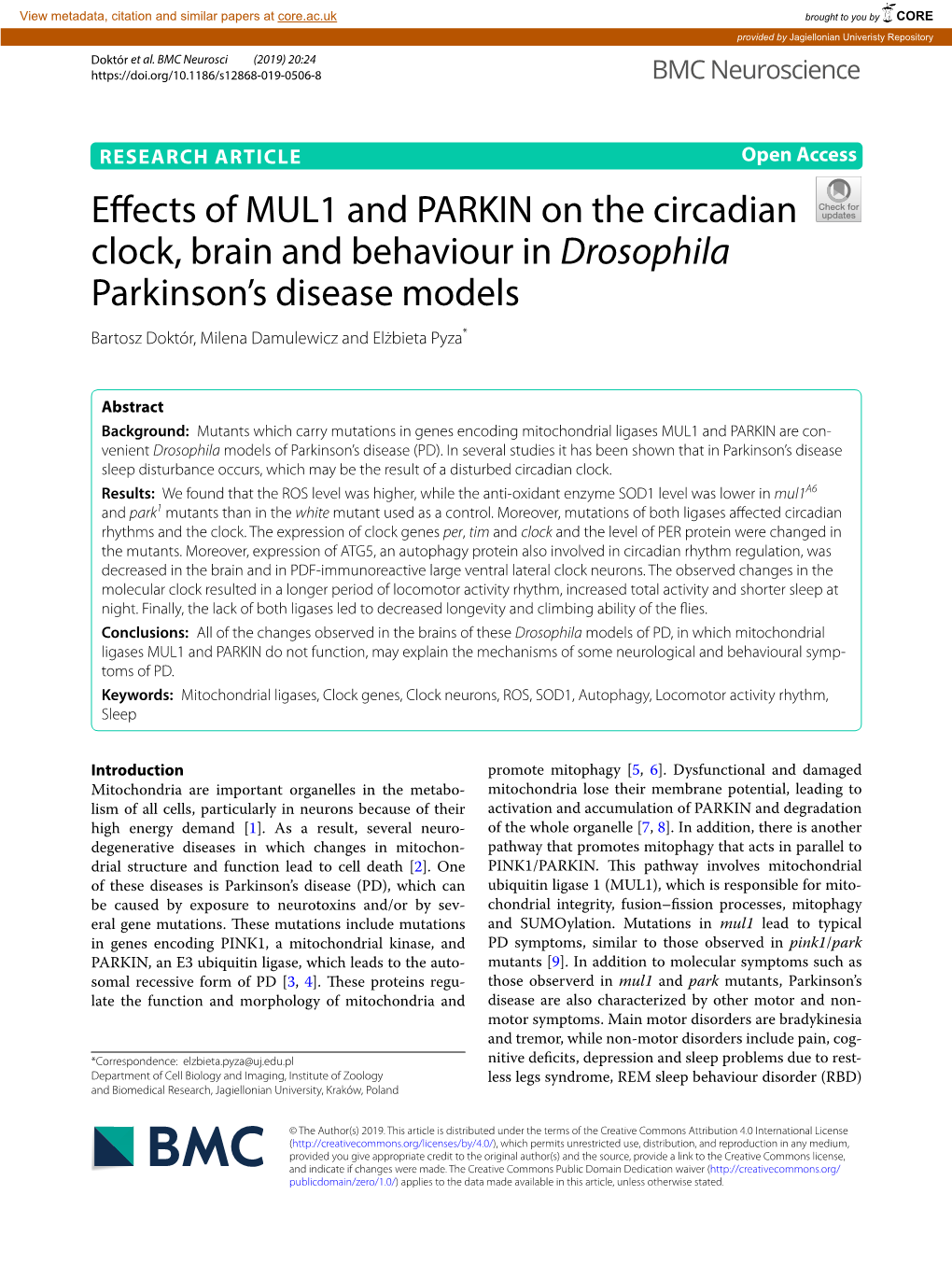 Effects of MUL1 and PARKIN on the Circadian Clock, Brain And