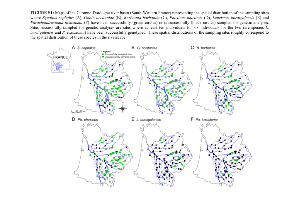 Assessing the Impact of Habitat Fragmentation on the Demographic