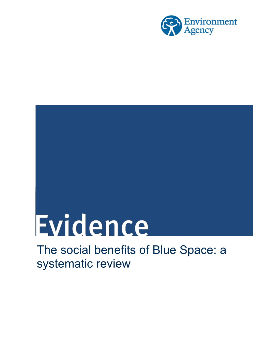 The Social Benefits of Blue Space: a Systematic Review