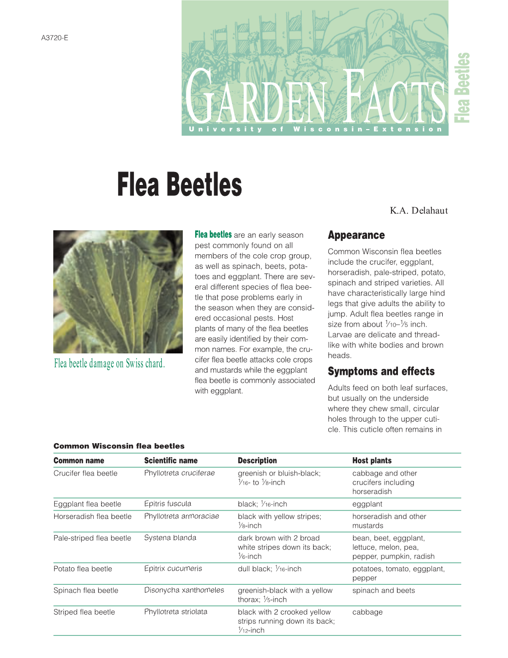 Flea Beetles Guniversityarden of Wisconsin–Extensionfacts Flea Beetles K.A