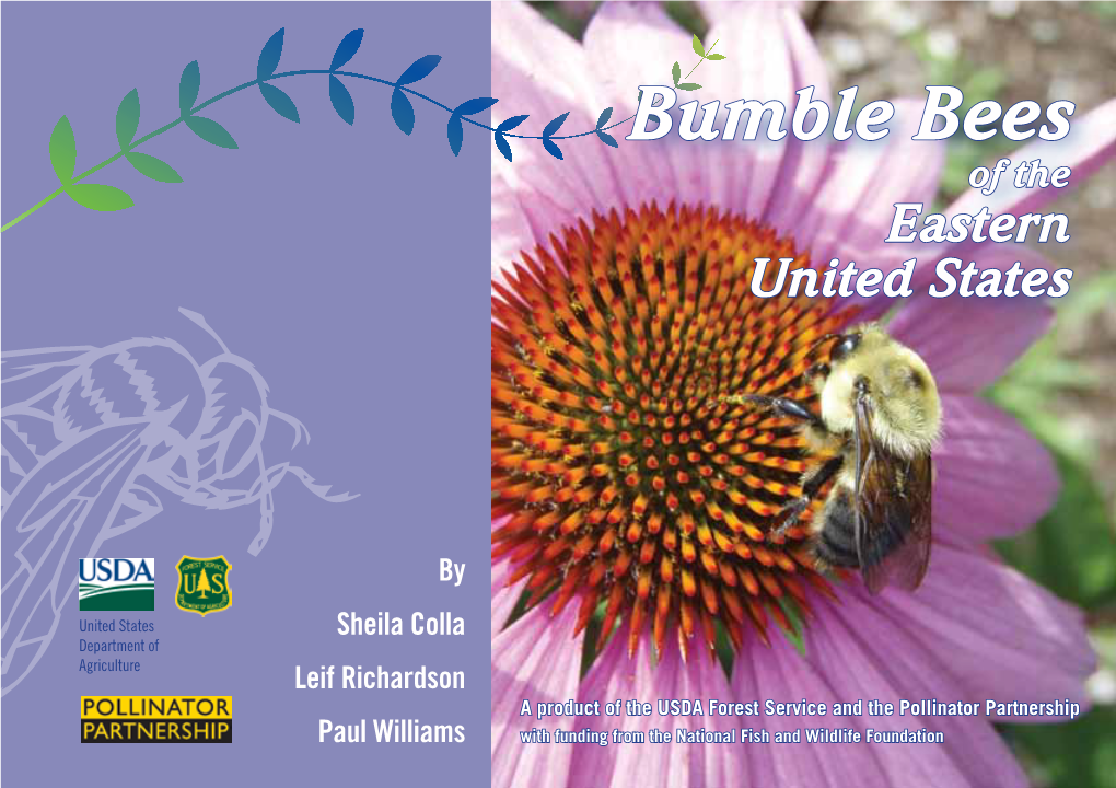 Bumble Bees of the Eastern United States