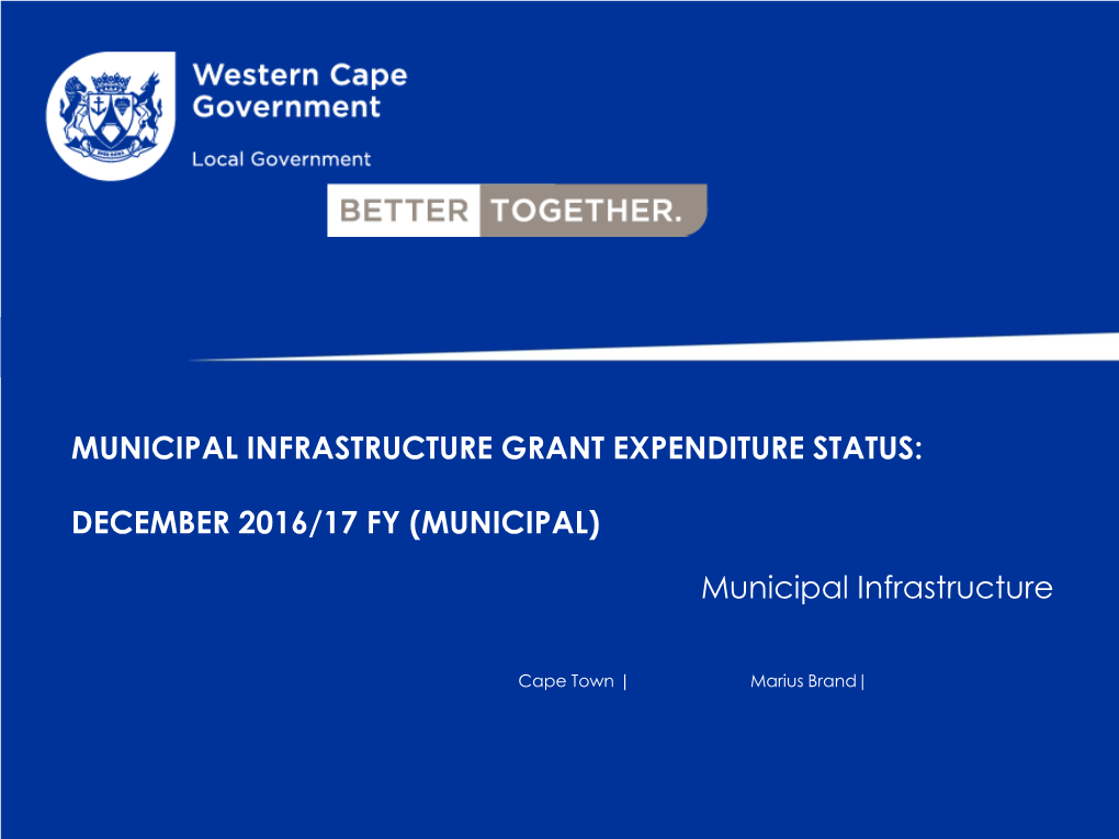 Municipal Infrastructure Grant Expenditure Status January 2016
