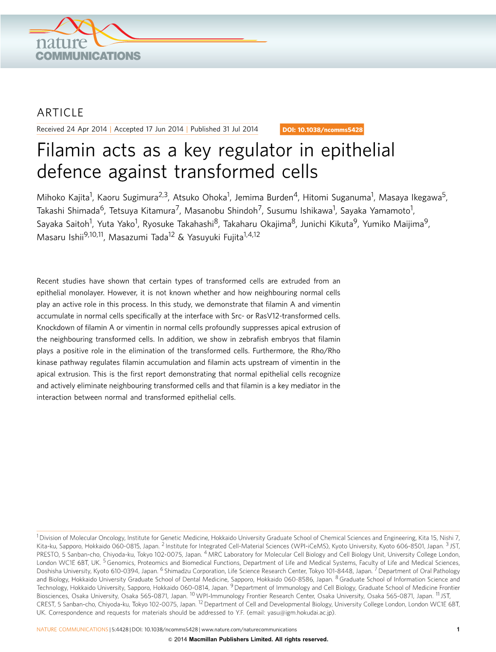 Filamin Acts As a Key Regulator in Epithelial Defence Against Transformed Cells