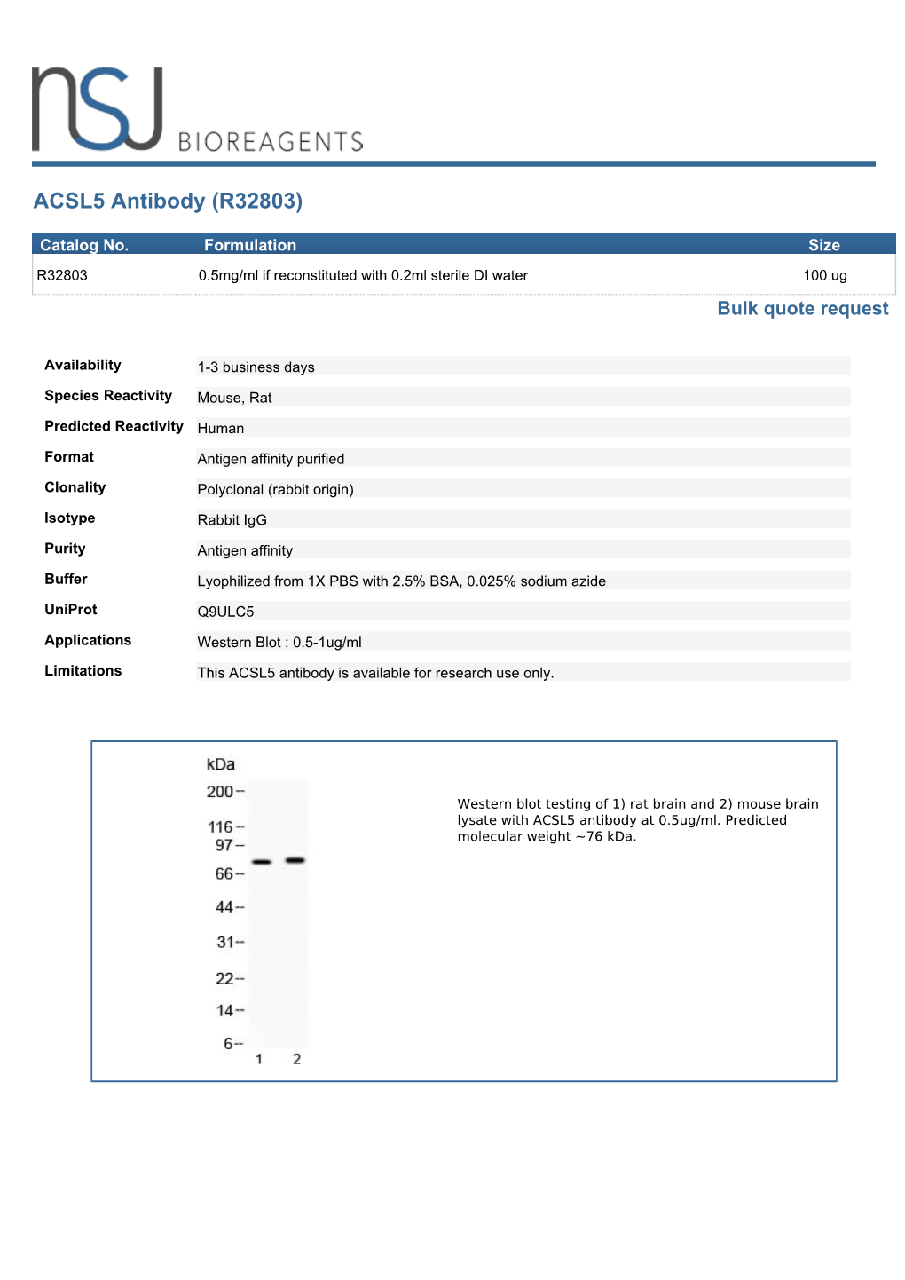ACSL5 Antibody (R32803)