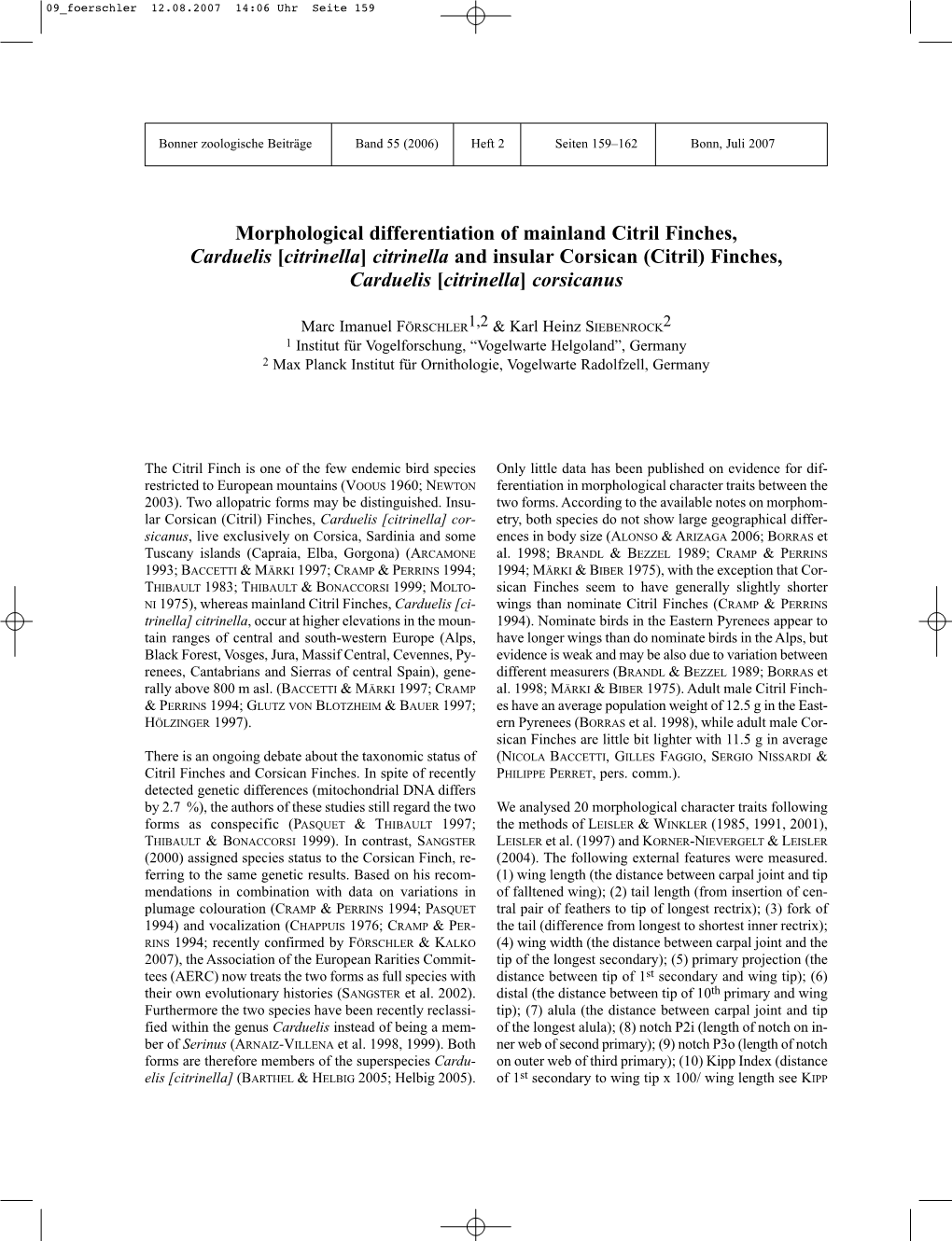 Morphological Differentiation of Mainland Citril Finches, Carduelis [Citrinella] Citrinella and Insular Corsican (Citril) Finches, Carduelis [Citrinella] Corsicanus