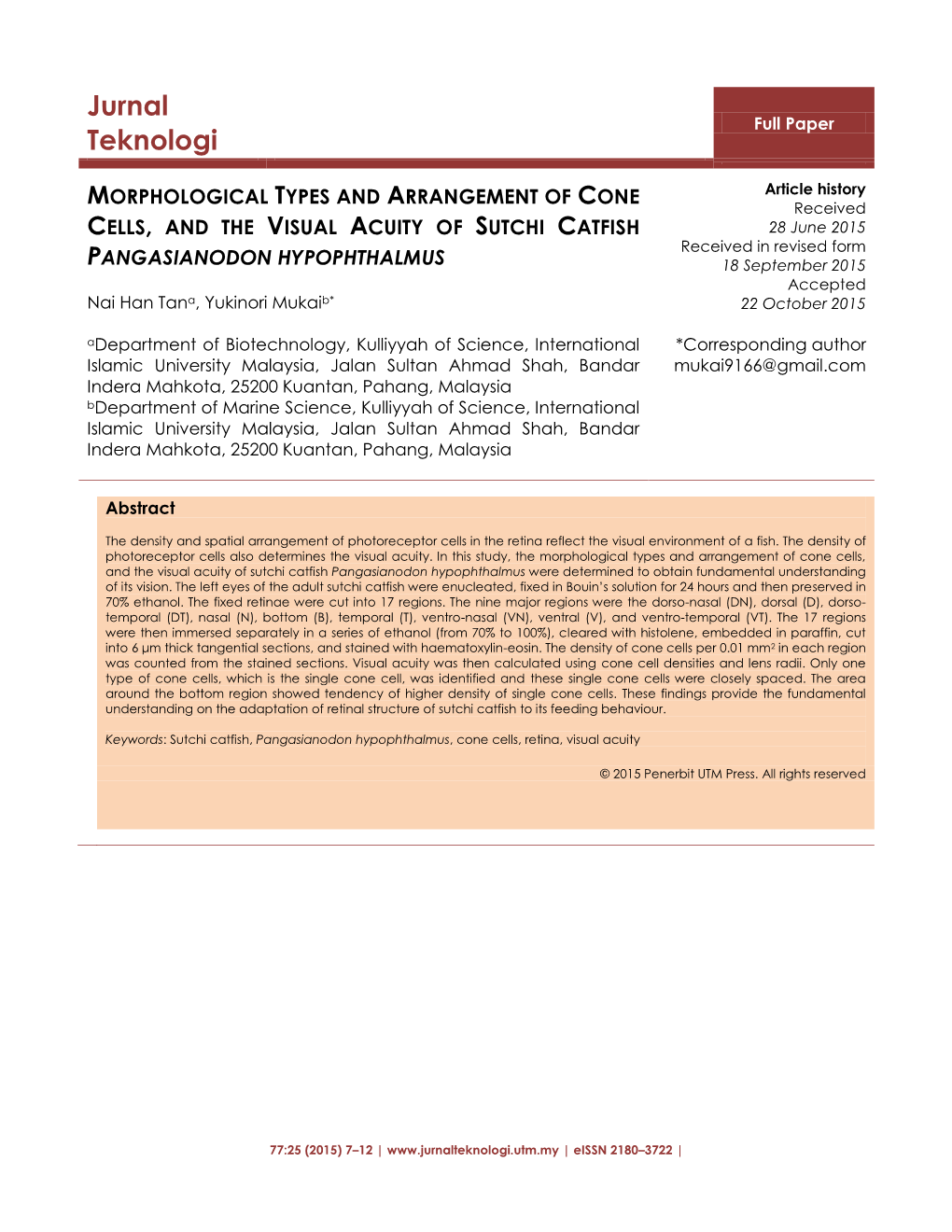 Morphological Types and Arrangement of Cone Cells