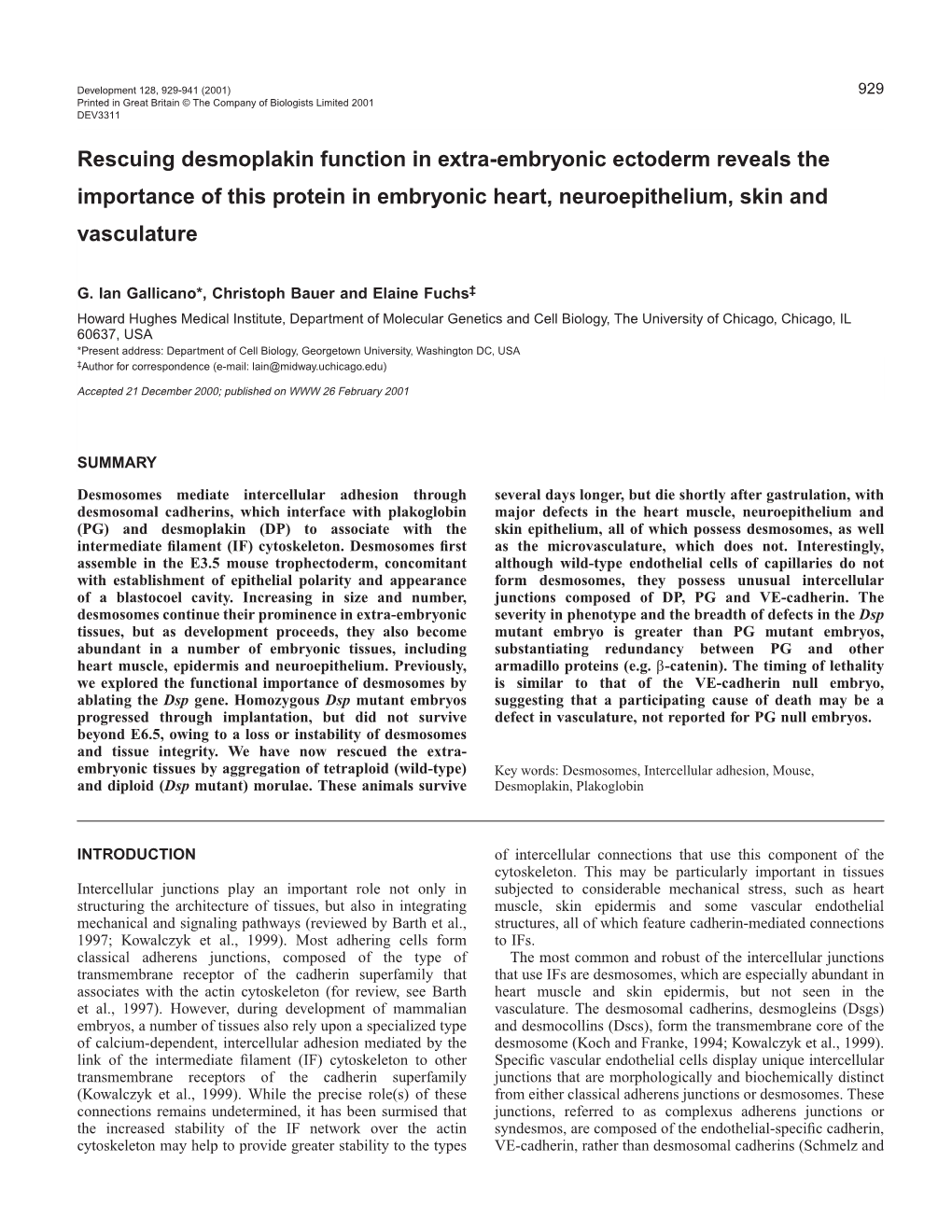 Rescuing Desmoplakin Function in Extra-Embryonic Ectoderm Reveals the Importance of This Protein in Embryonic Heart, Neuroepithelium, Skin and Vasculature