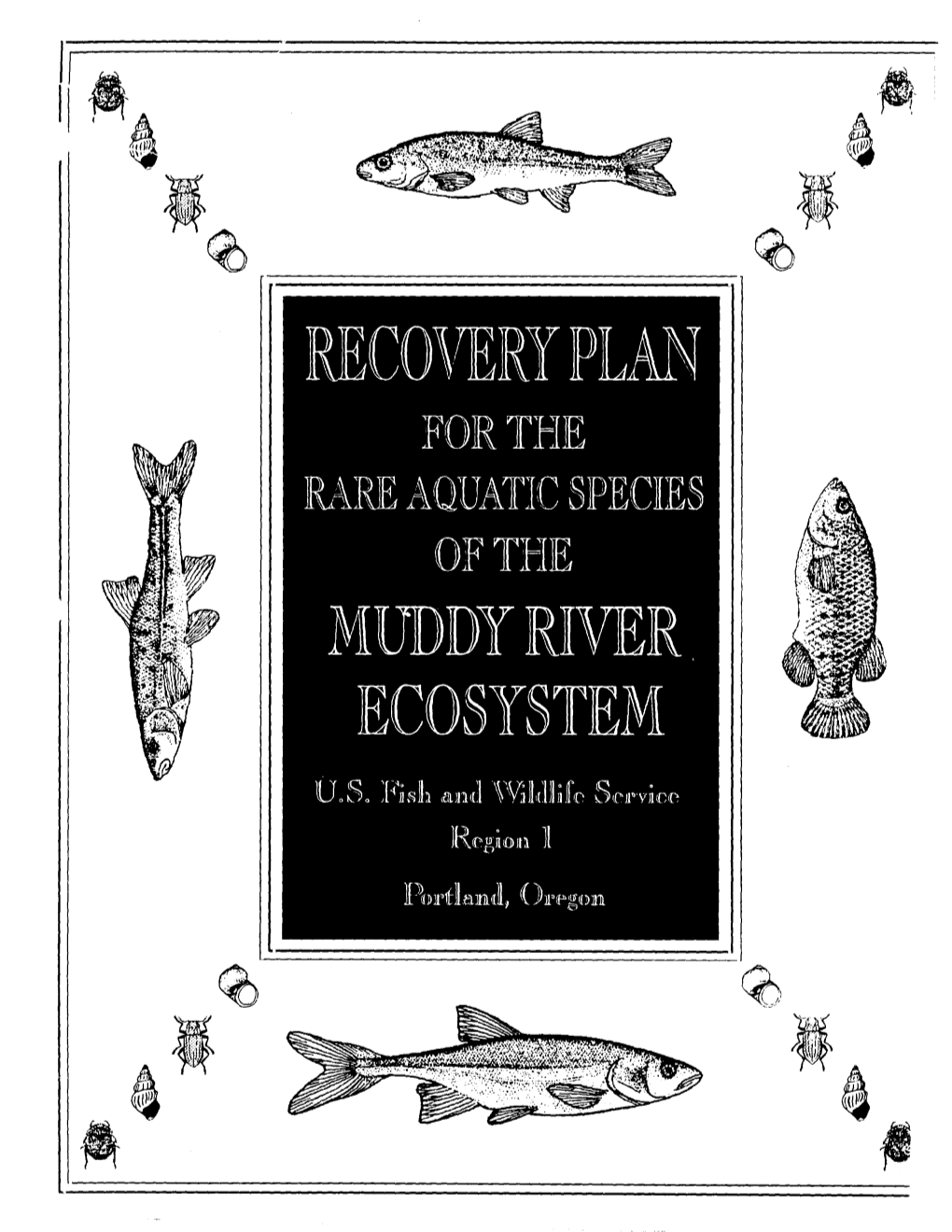 Recovery Plan for the Rare Aquatic Species of the Muddy River Ecosystem