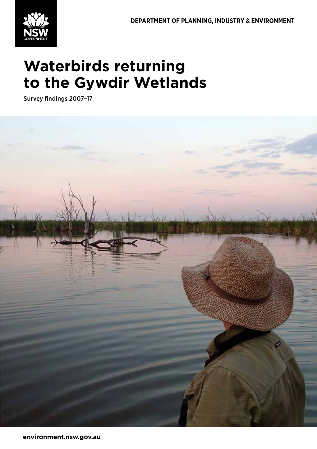 Waterbirds Returning to the Gwydir Wetlands
