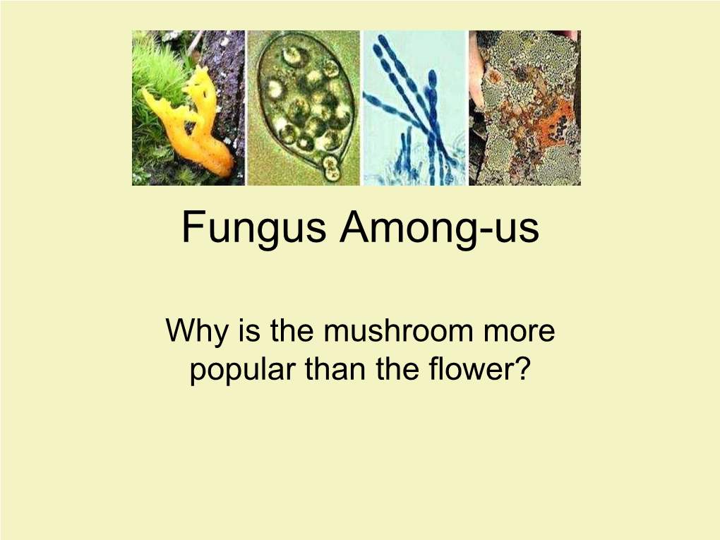 Fungus Among-Us