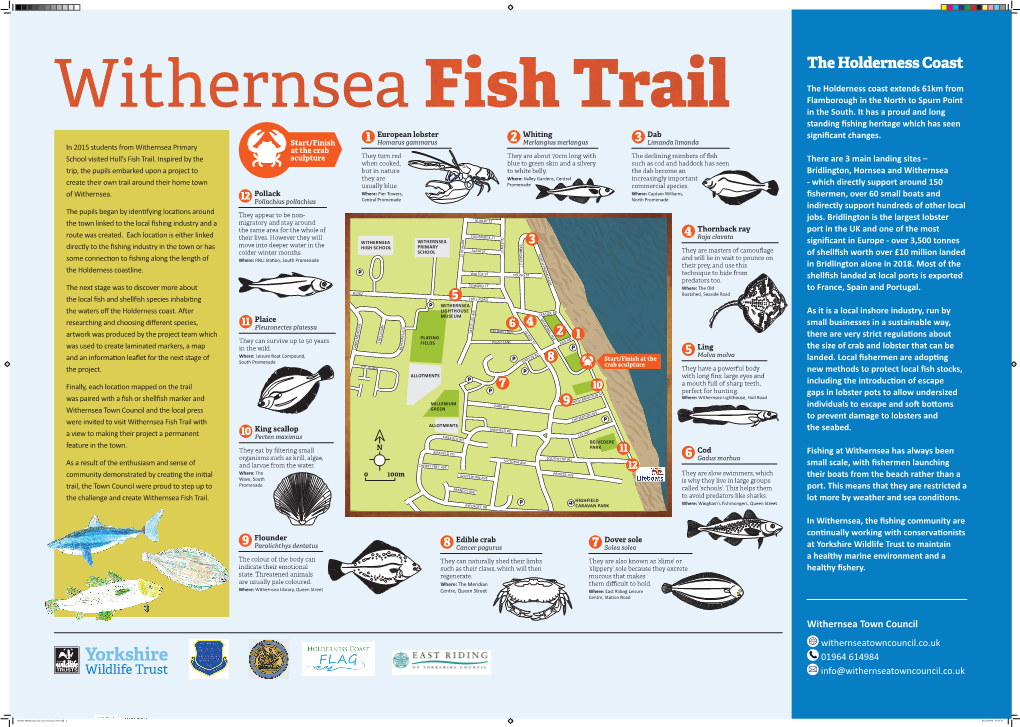 Withernsea Fish Trail with ALLOTMENTS King Scallop KIRKFIELD RD the Seabed