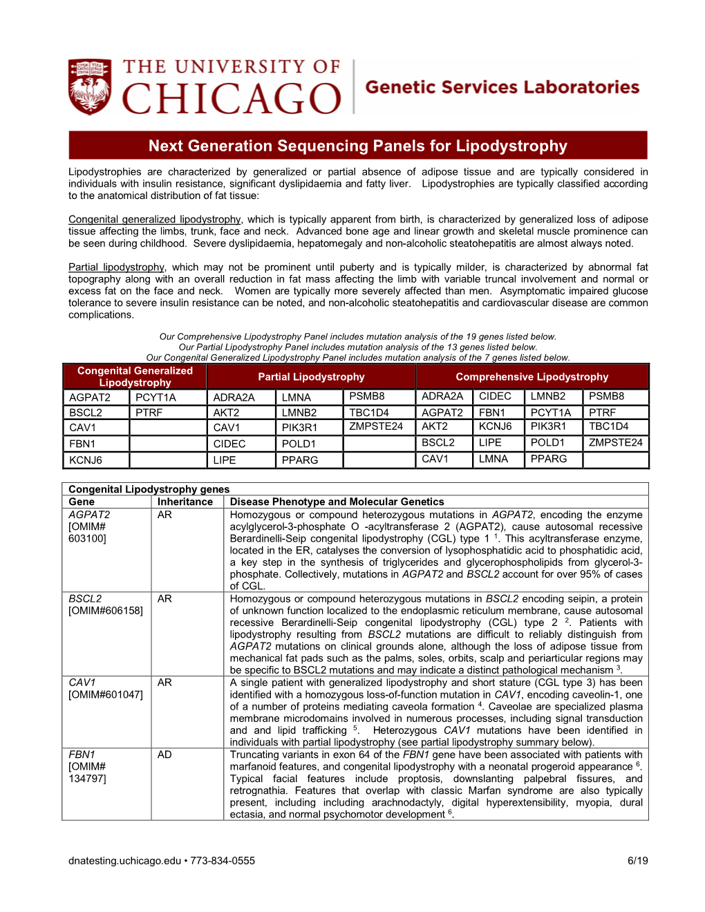 Lipodystrophy Information Sheet 6-13-19