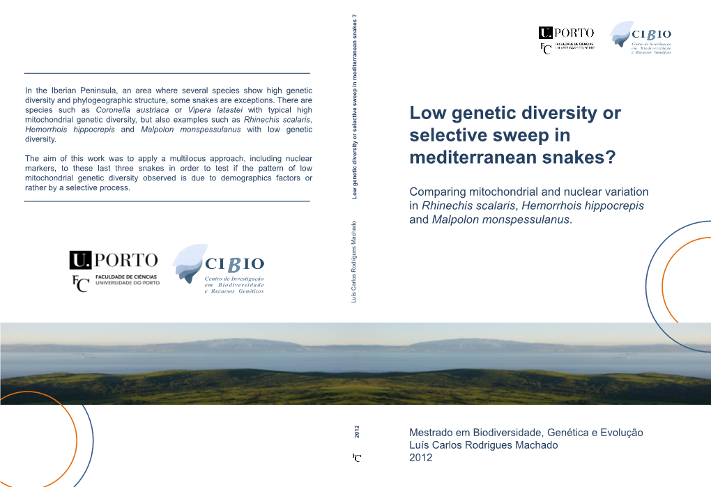 Low Genetic Diversity Or Selective Sweep in Mediterranean Snakes?